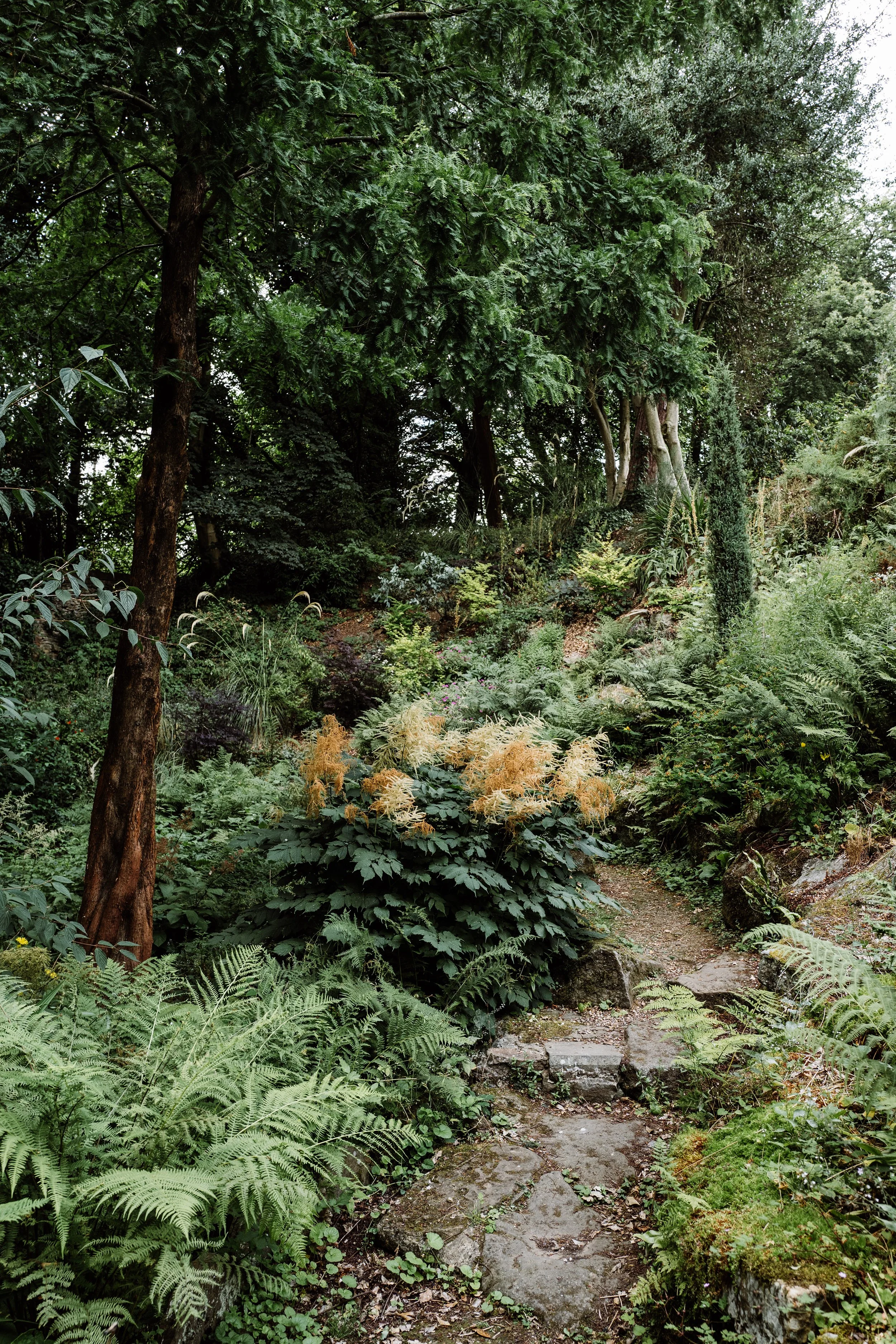 Botanical-37.jpg