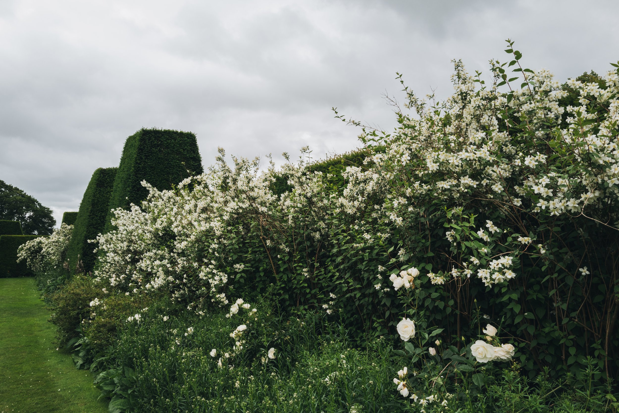 Renishaw Gardens 2-43.jpg