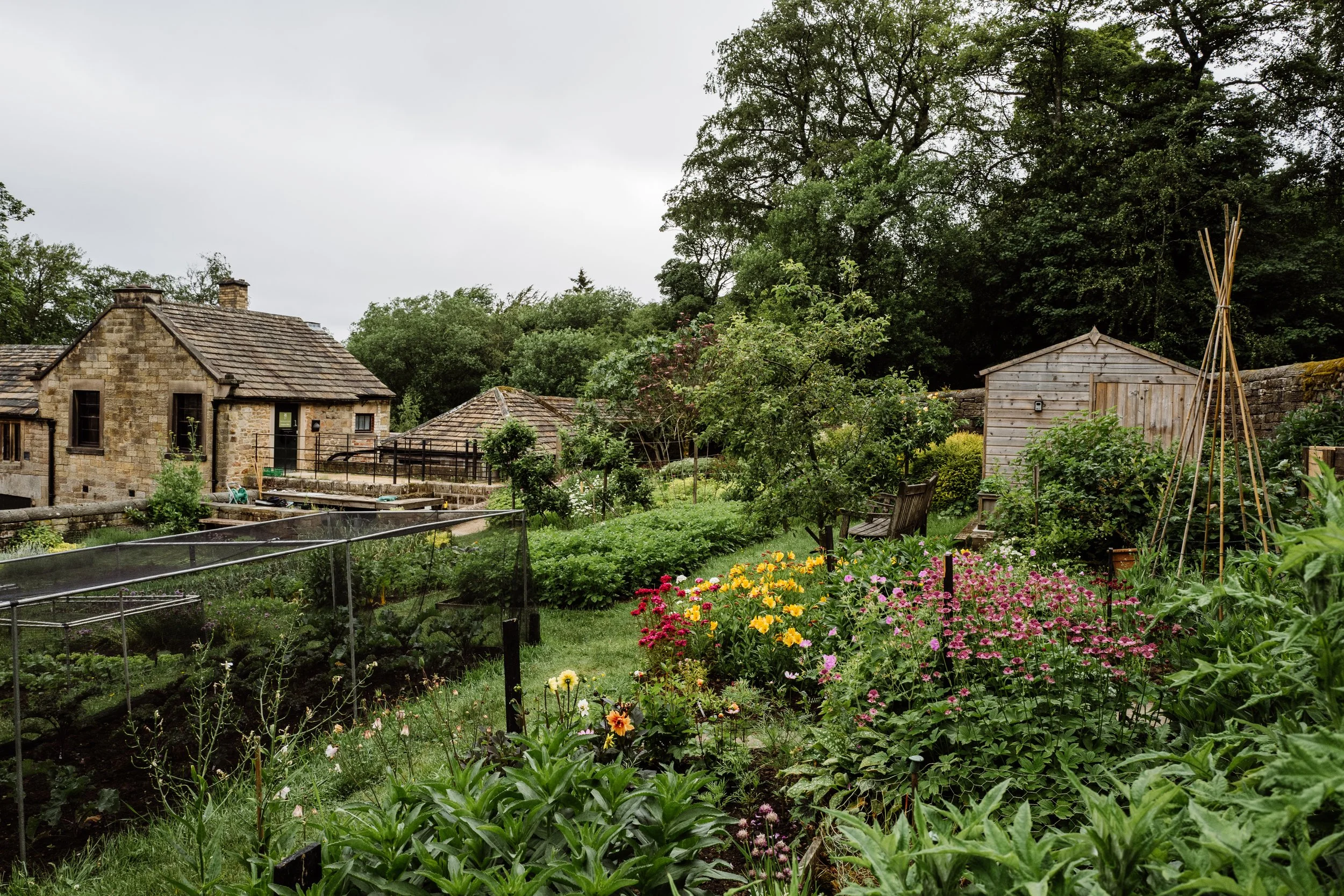 Longshaw-74.jpg