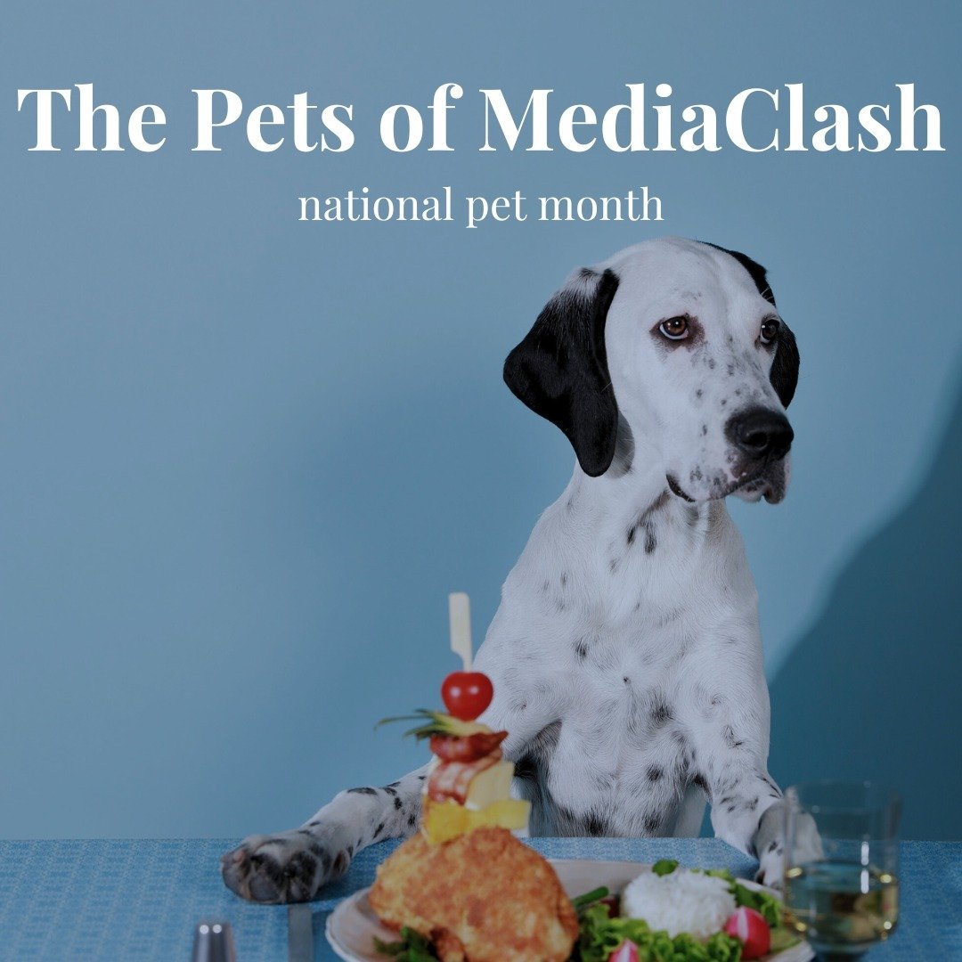 In honour of National Pet Month coming to an end, we're introducing the pets of MediaClash and their job roles within the company (which they are currently tippy-tappying away at)🐾 

Some don't have job titles as they're too cool (Lenny), or iconic 