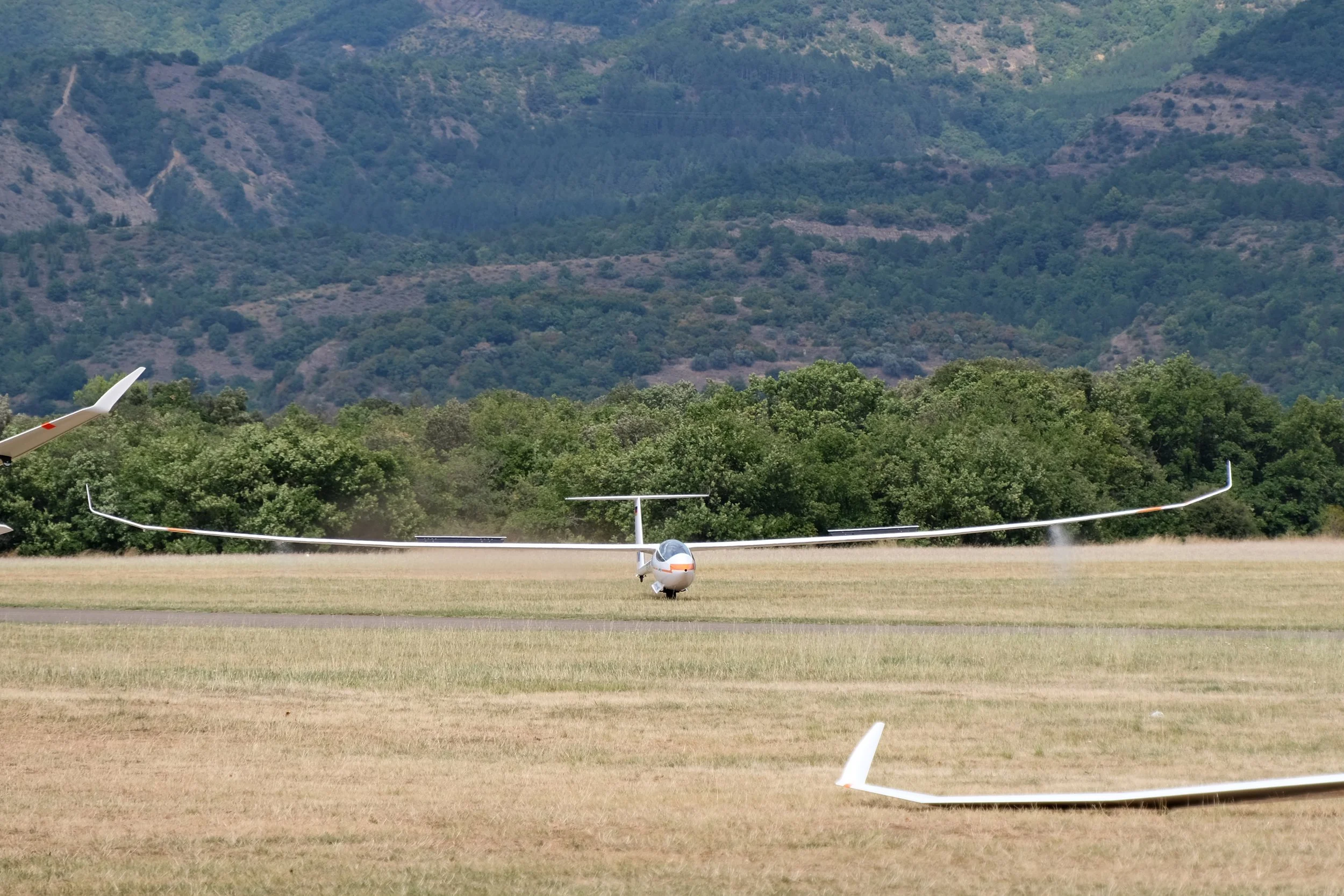 DSCF6174.JPG