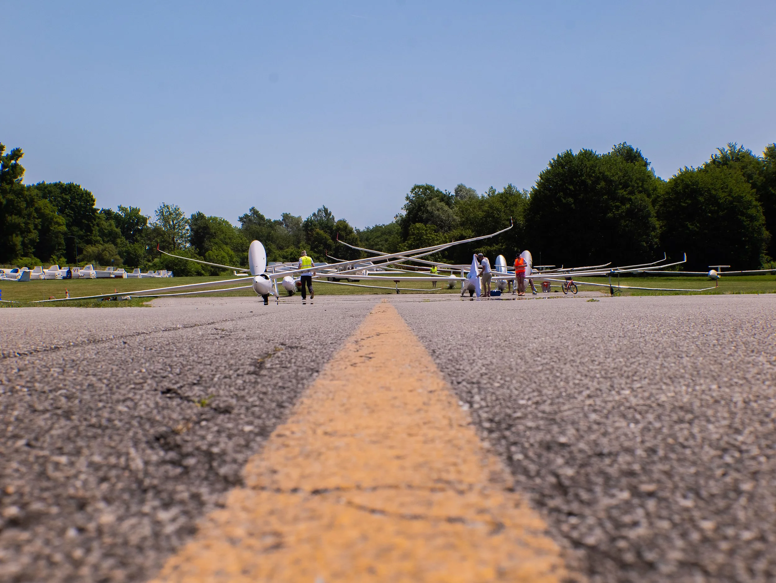 D5-R3_grid -04.jpg