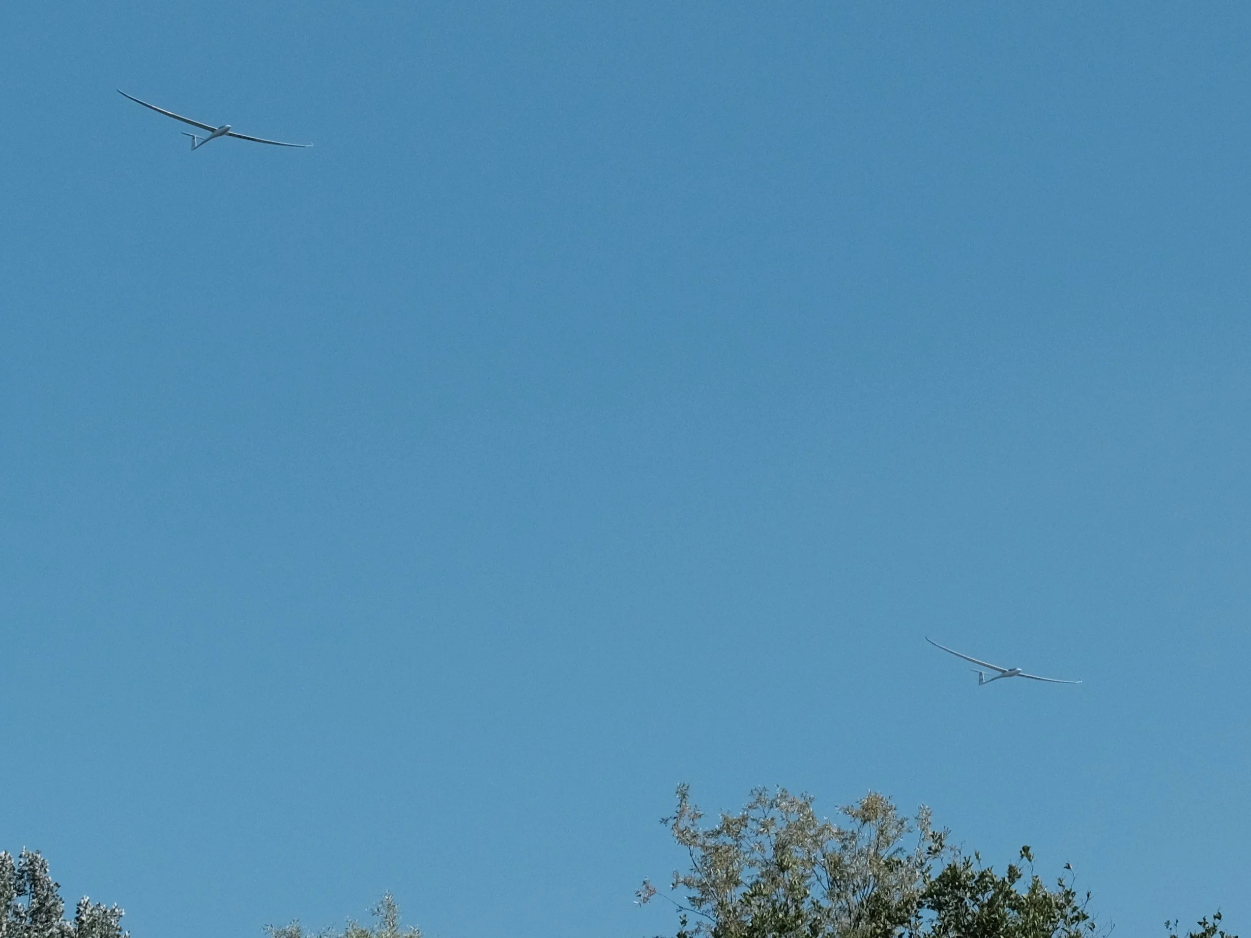 DSCF7916.JPG