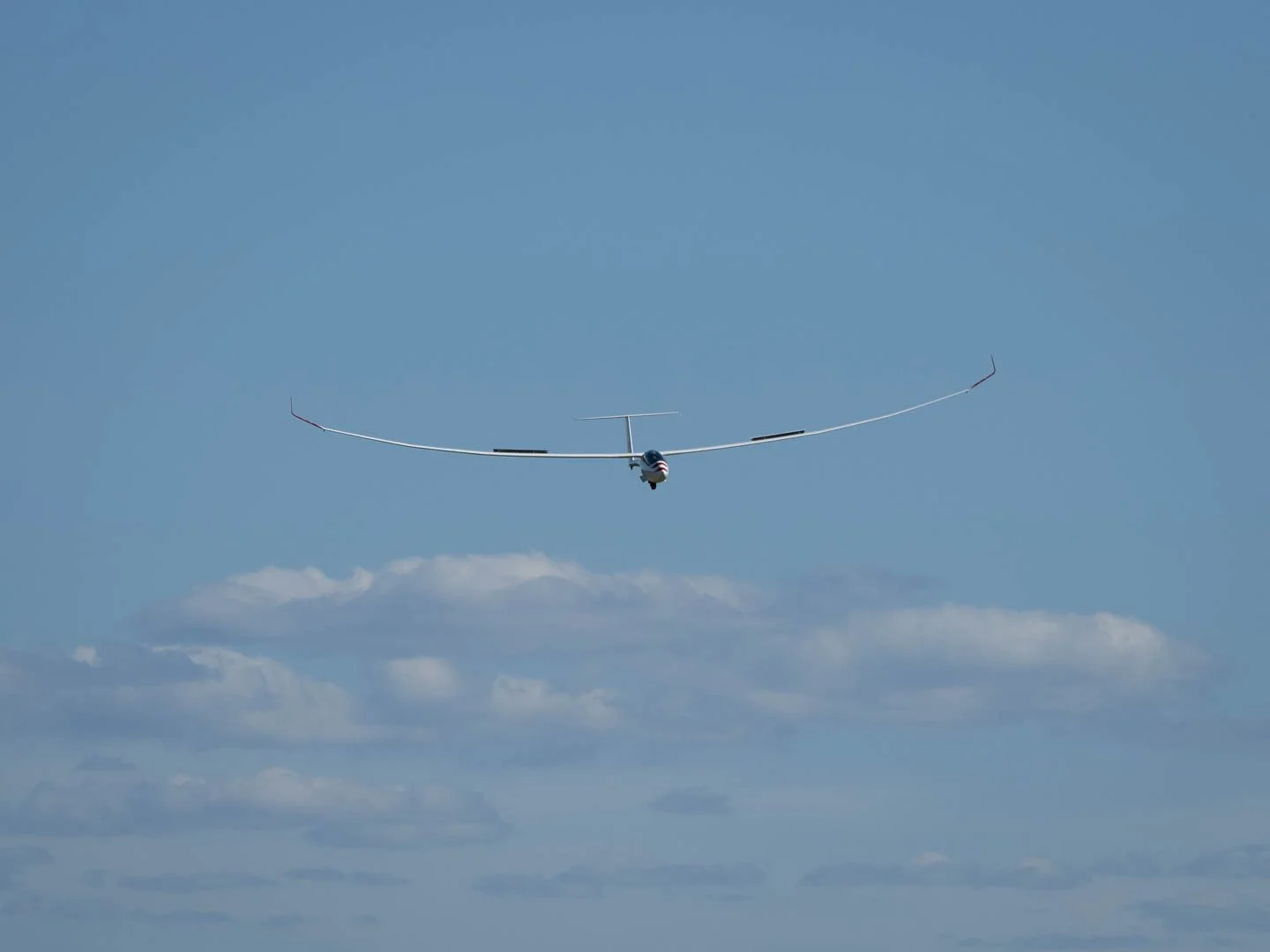 Arne Martin landing after the win.JPG