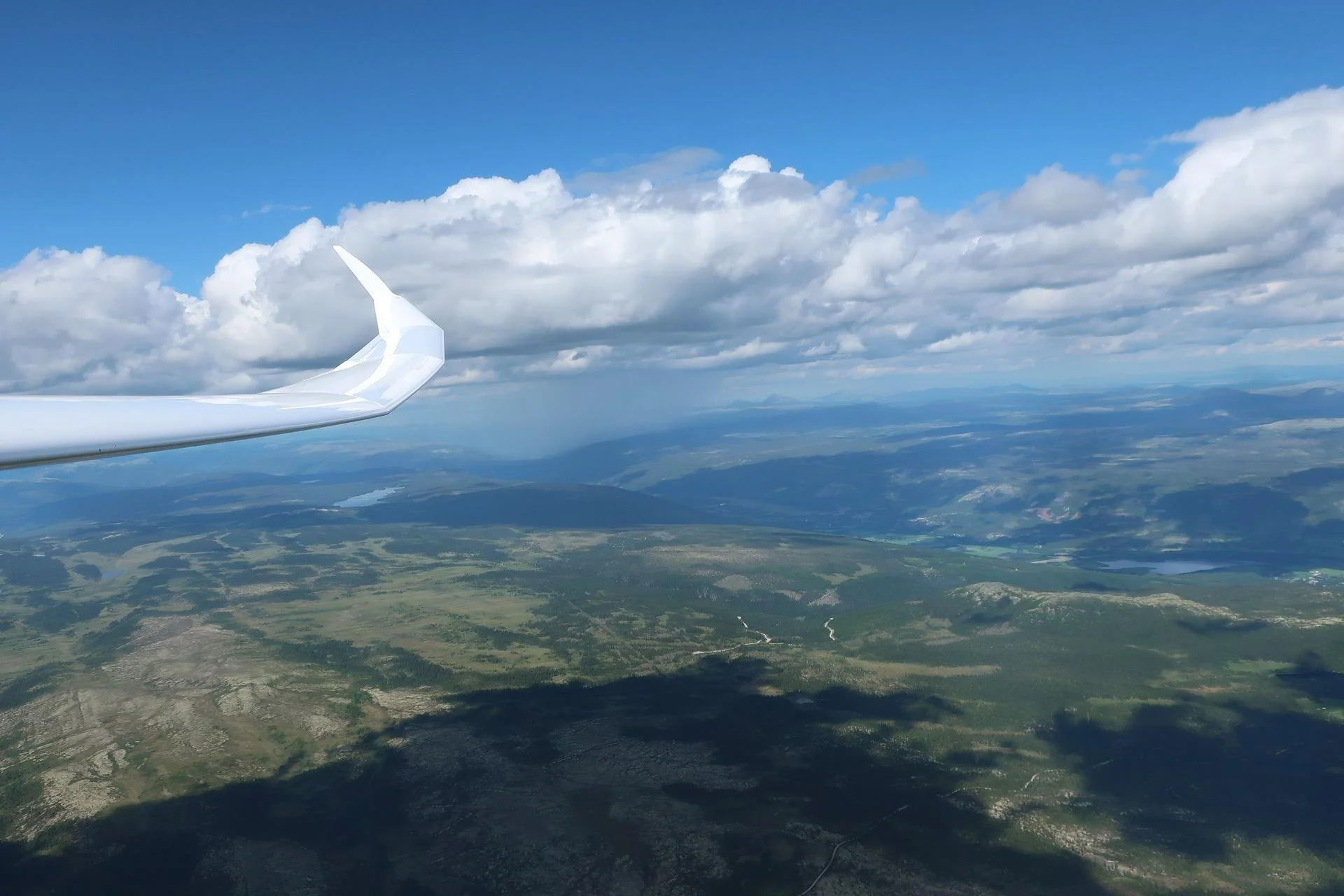 tilowingd1.jpg