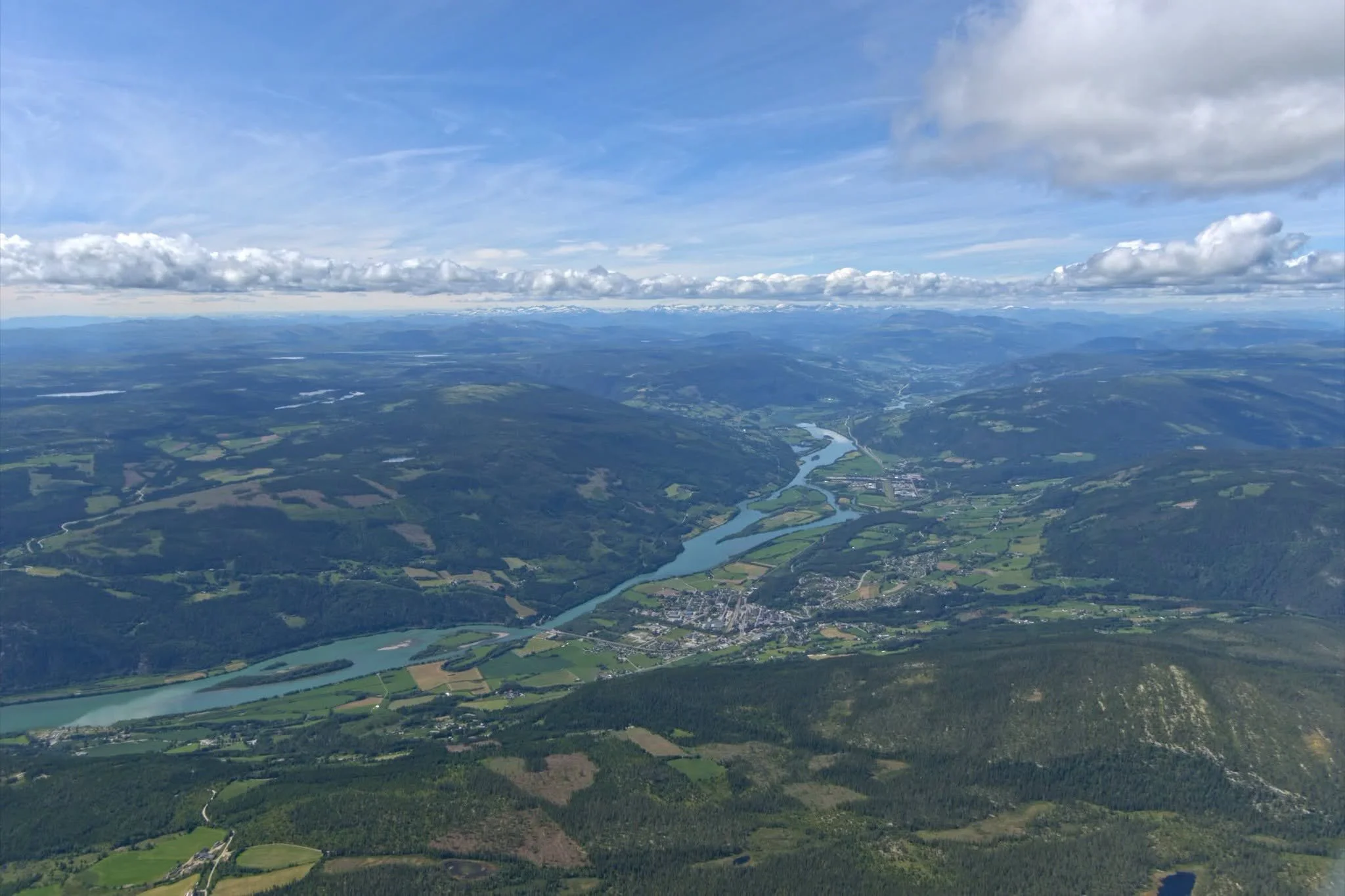 Am-d3-1.jpg