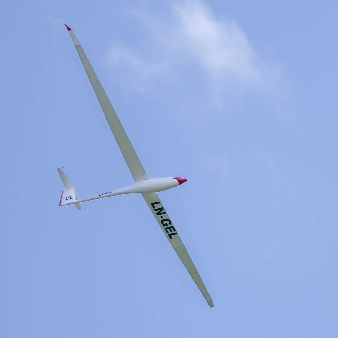 DSCF8333.JPG