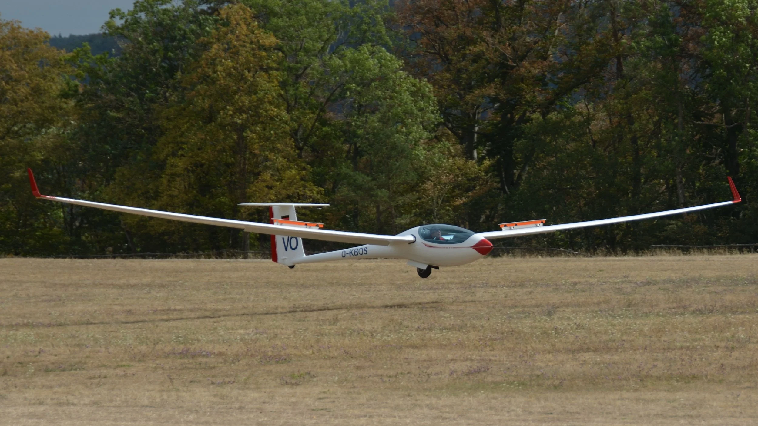 SGP Farrenberg_086.JPG