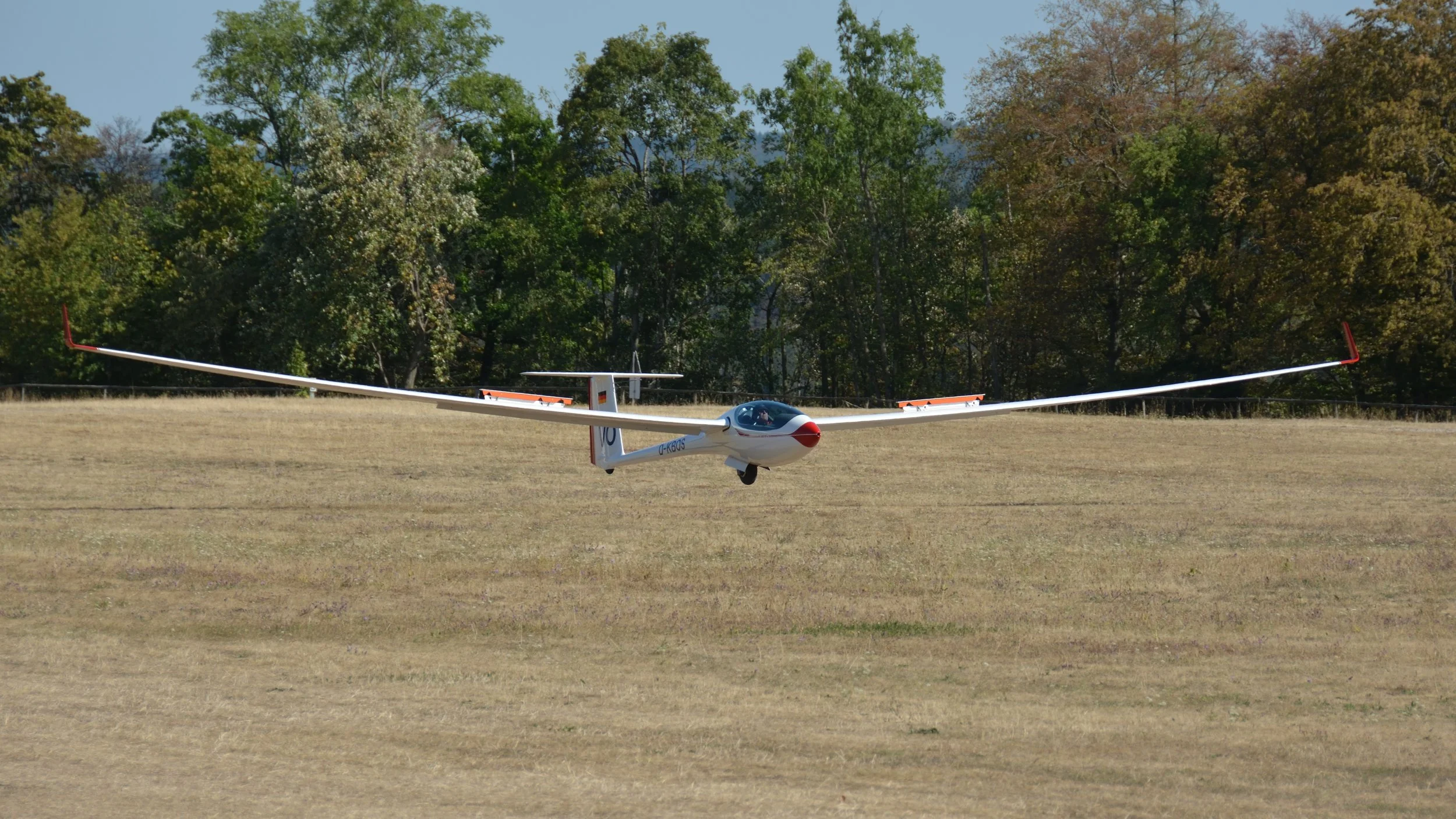 SGP Farrenberg_114.JPG