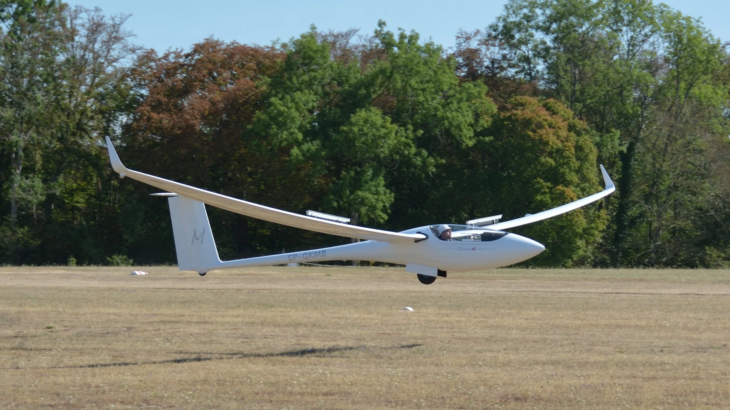 SGP Farrenberg_108.JPG