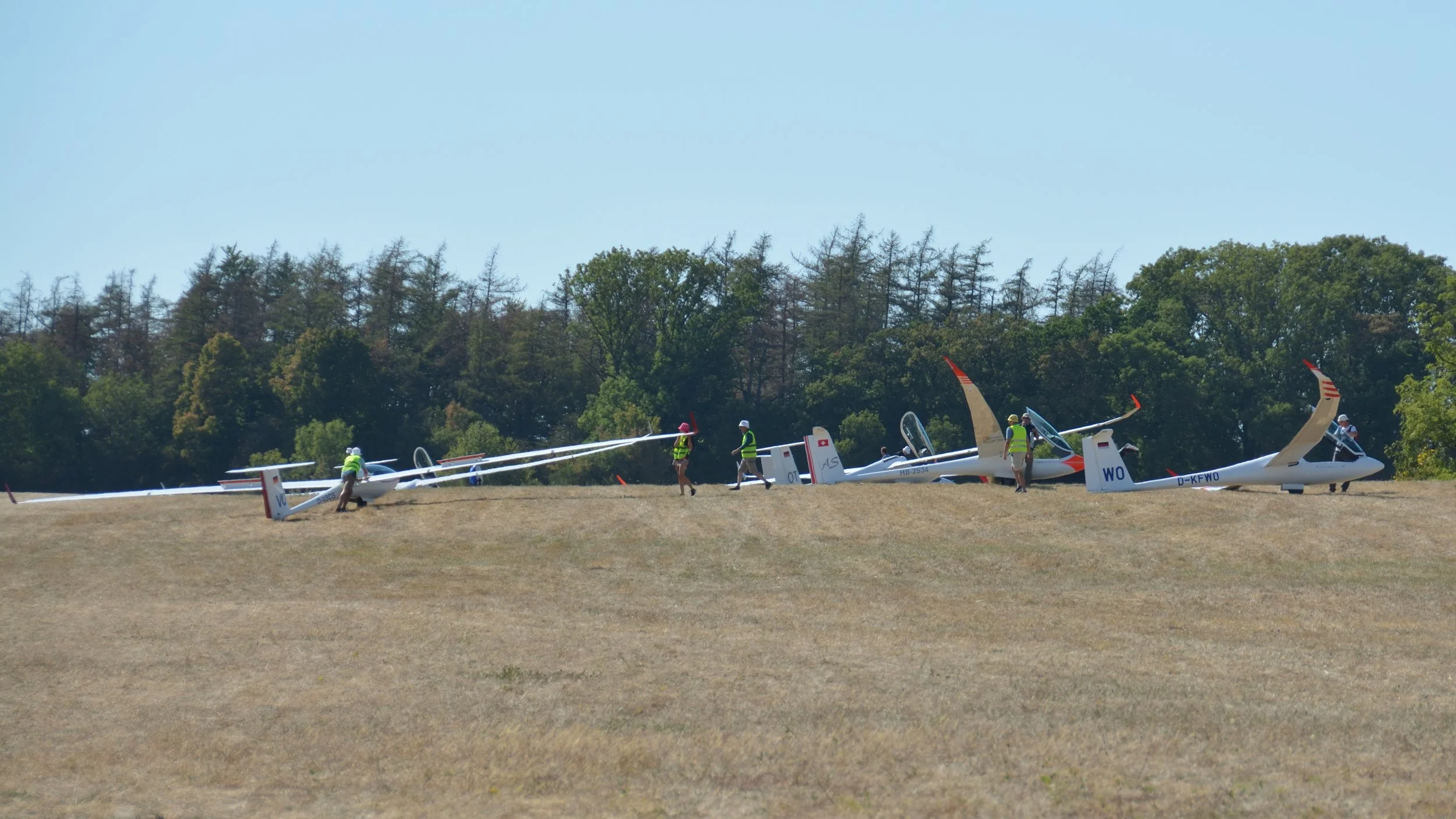 SGP Farrenberg_130.JPG