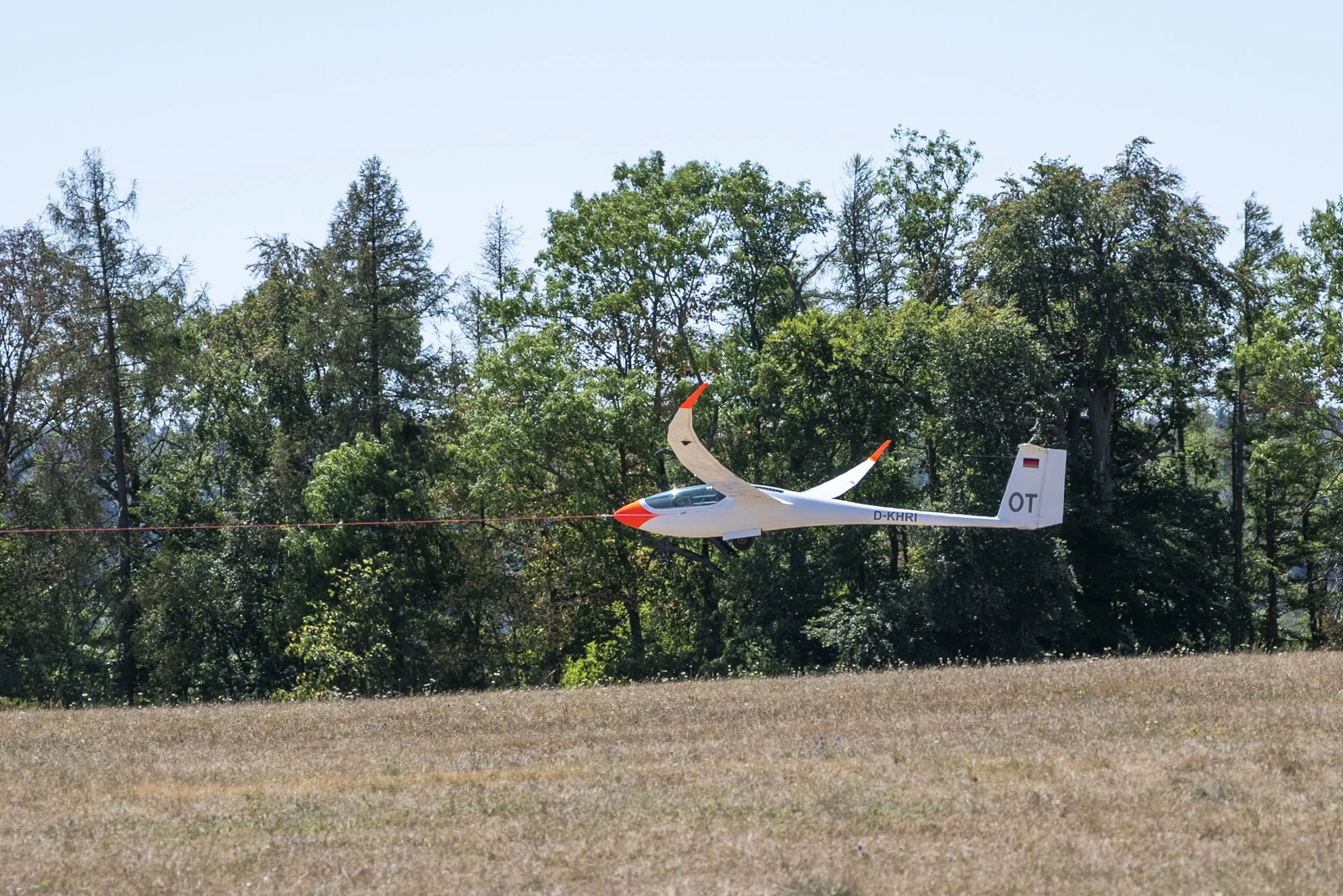 SGP_0049.jpg