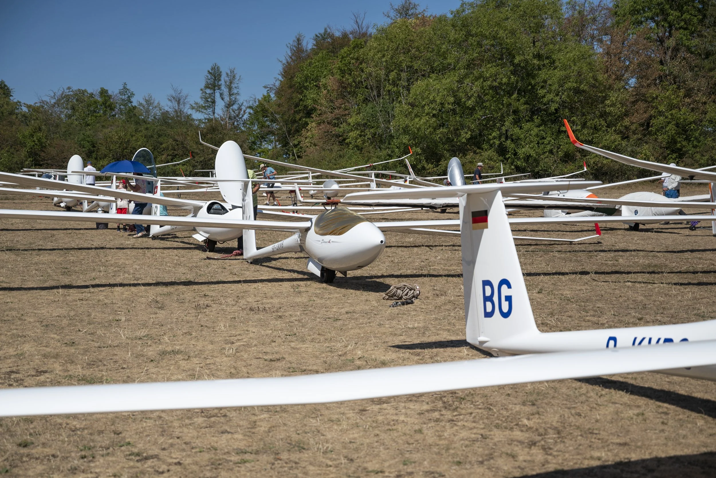 SGP_0006.jpg