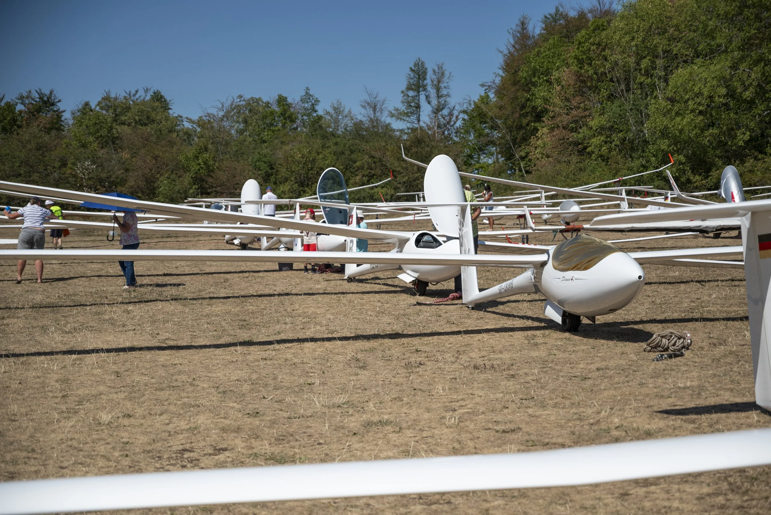 SGP_0007.jpg