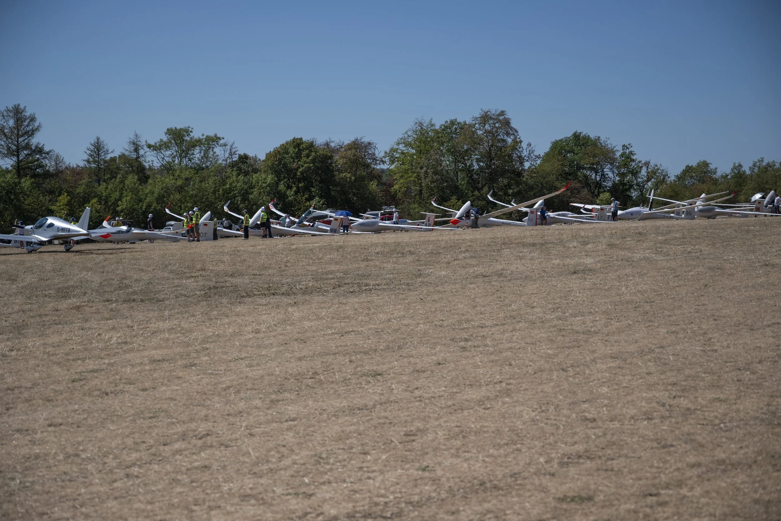 SGP_0046.jpg