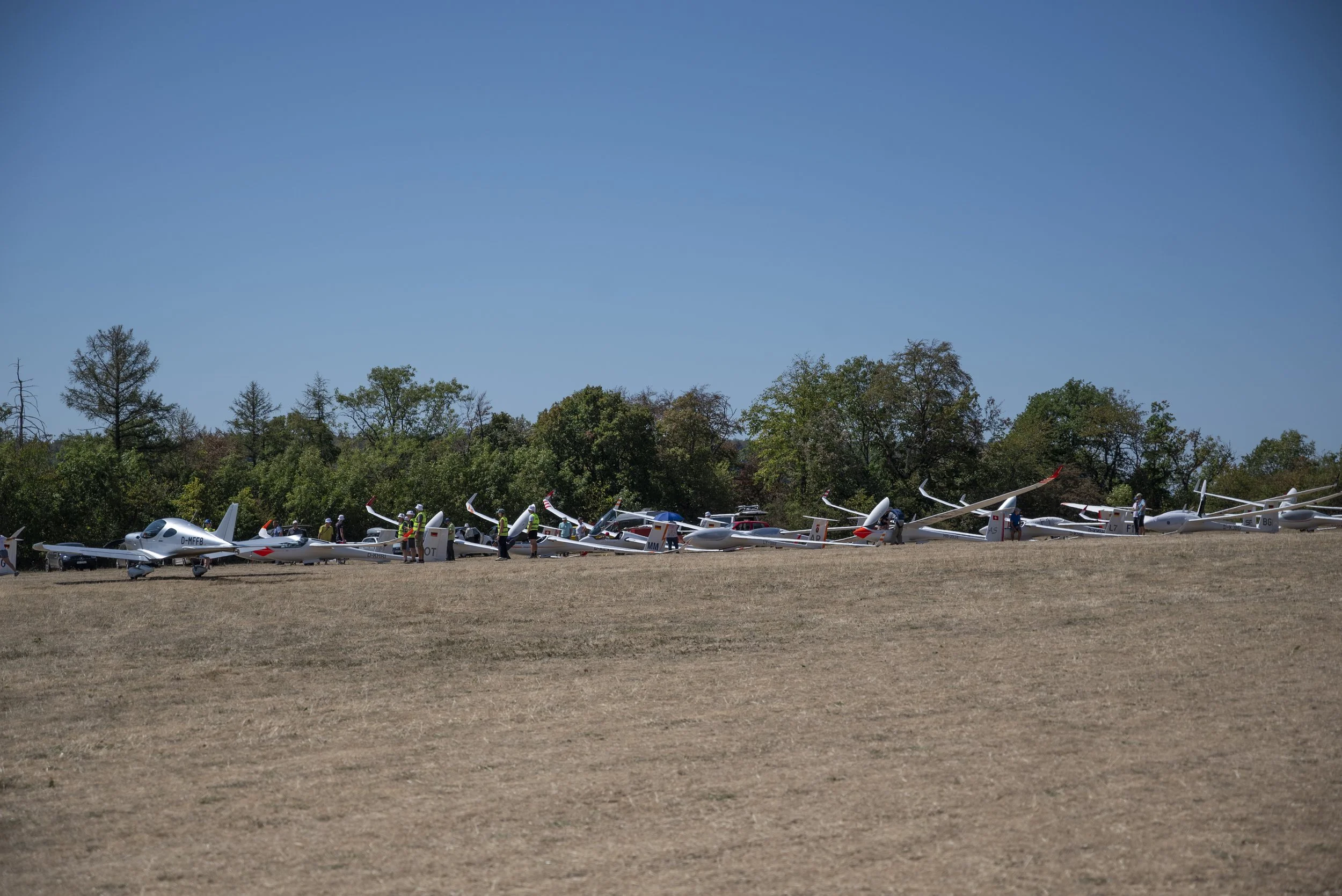 SGP_0047.jpg