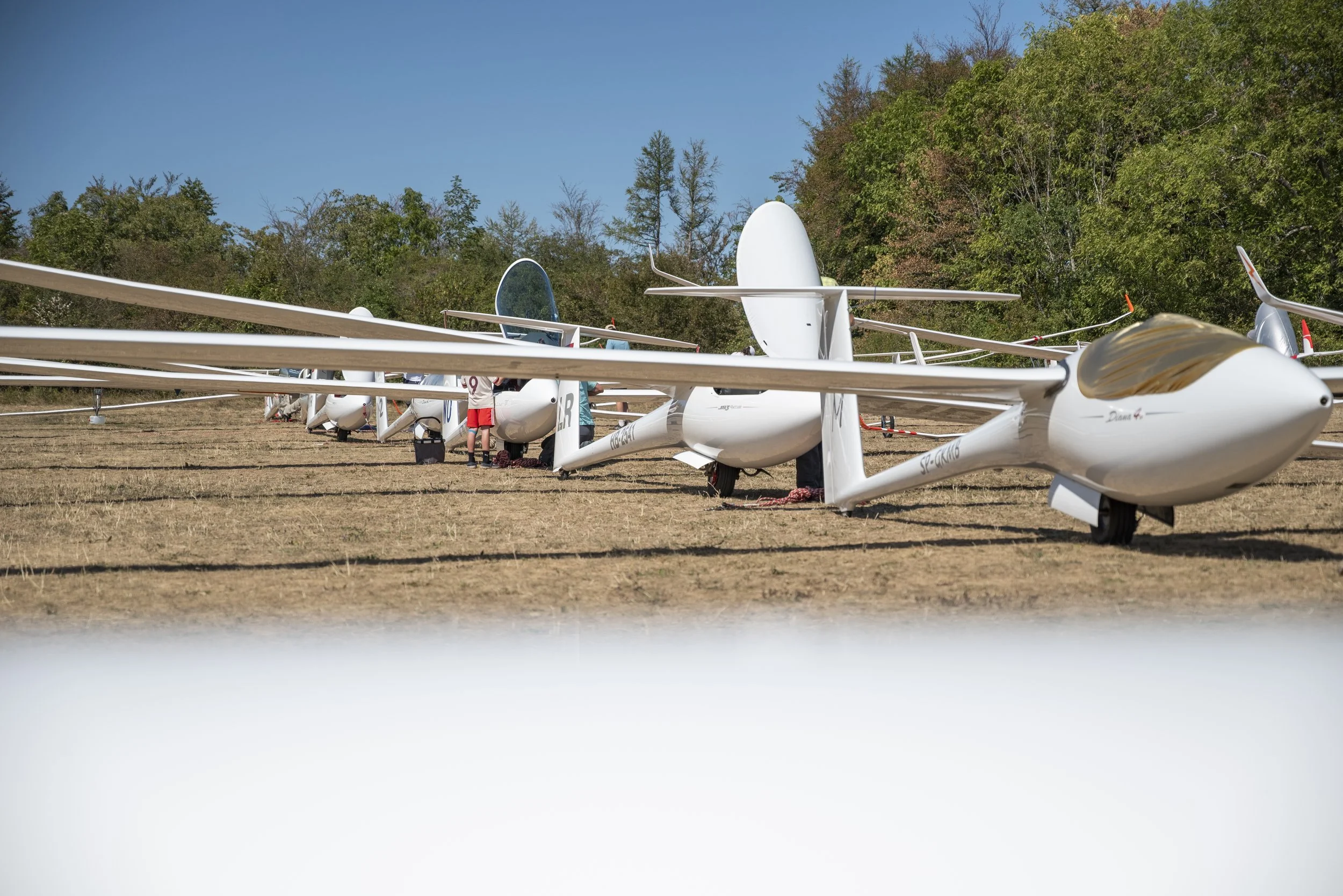 SGP_0008.jpg