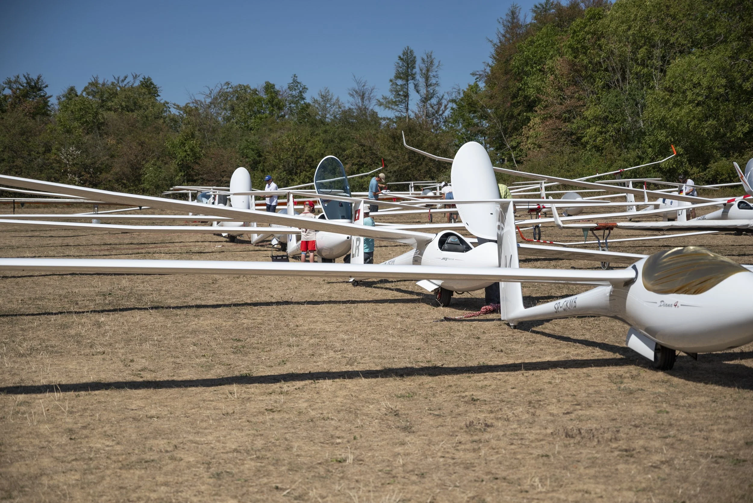 SGP_0009.jpg