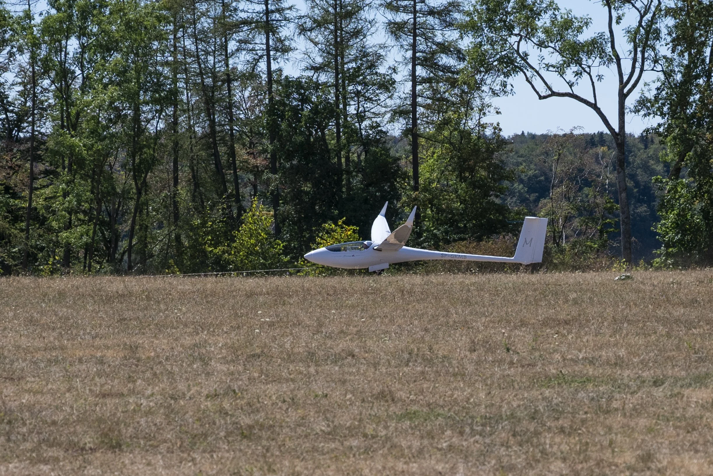 SGP_0050.jpg