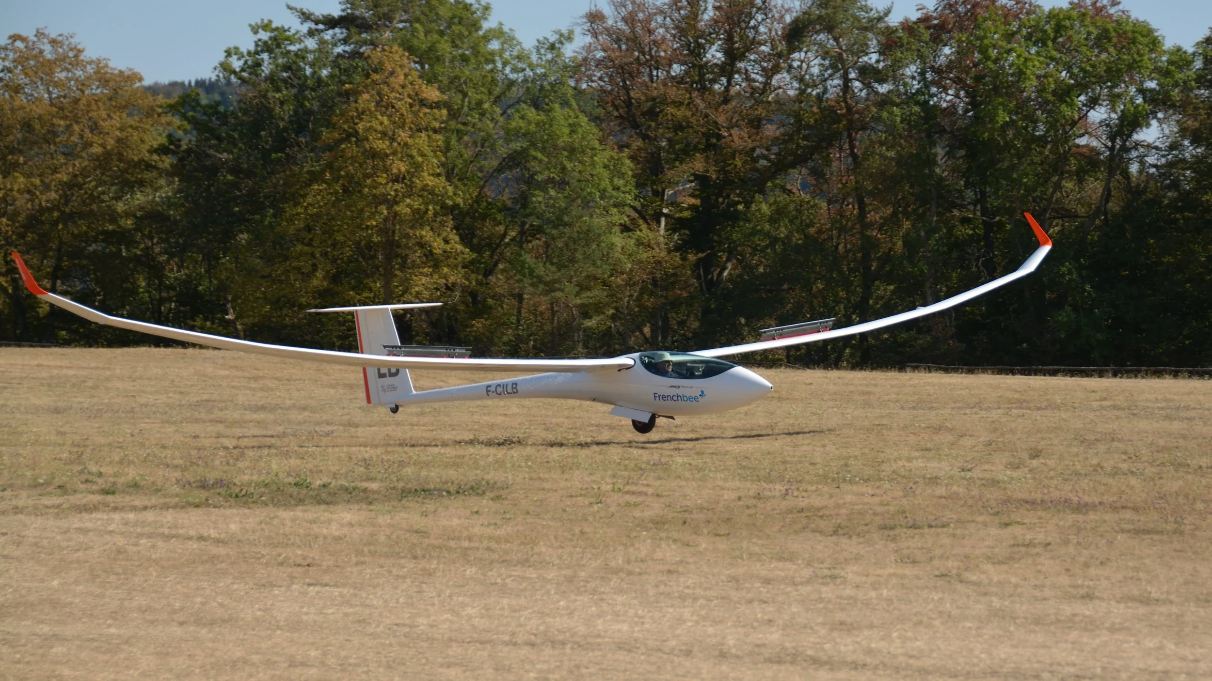 SGP Farrenberg_204.JPG