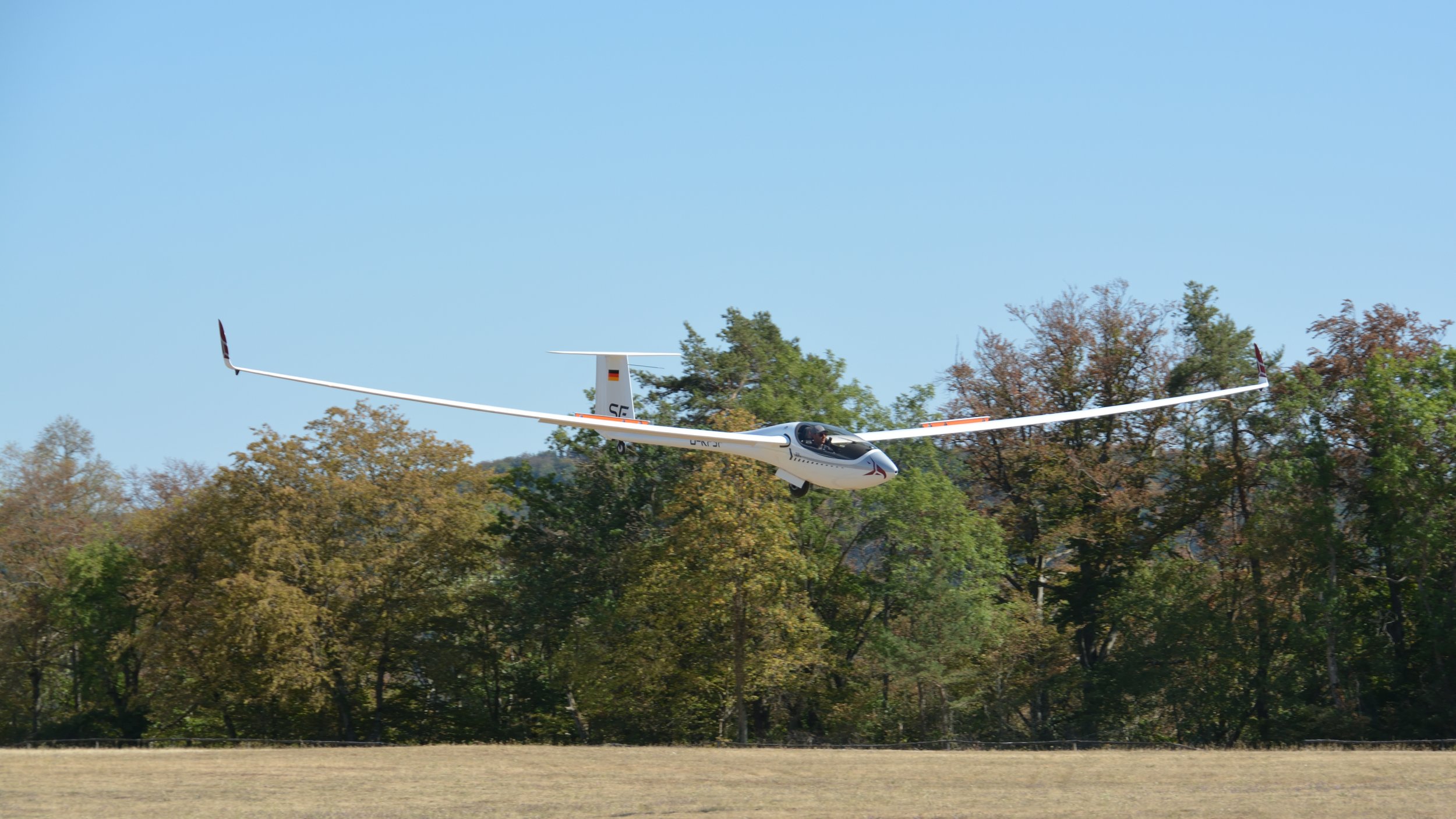 SGP Farrenberg_206.JPG
