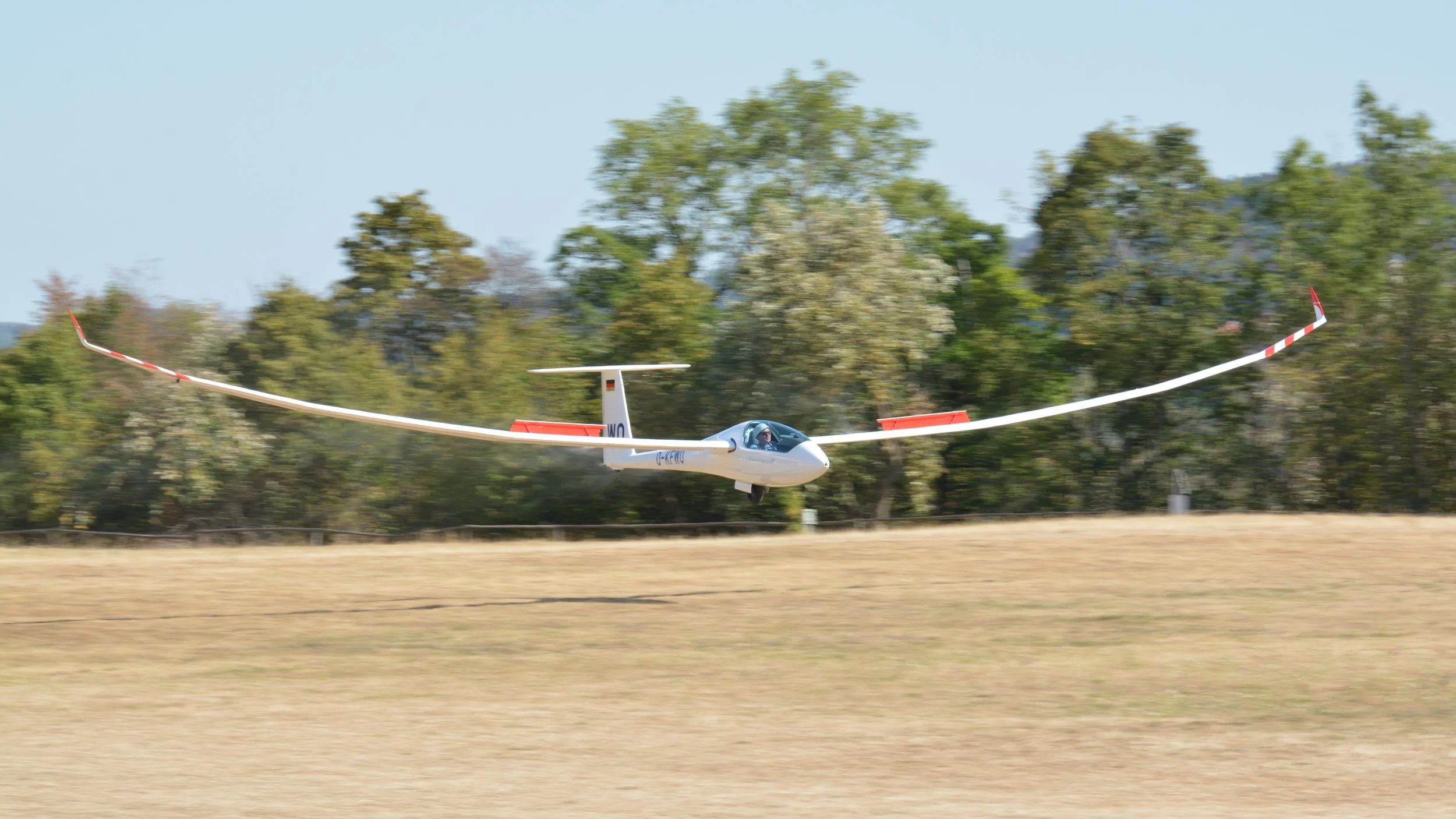 SGP Farrenberg_217.JPG