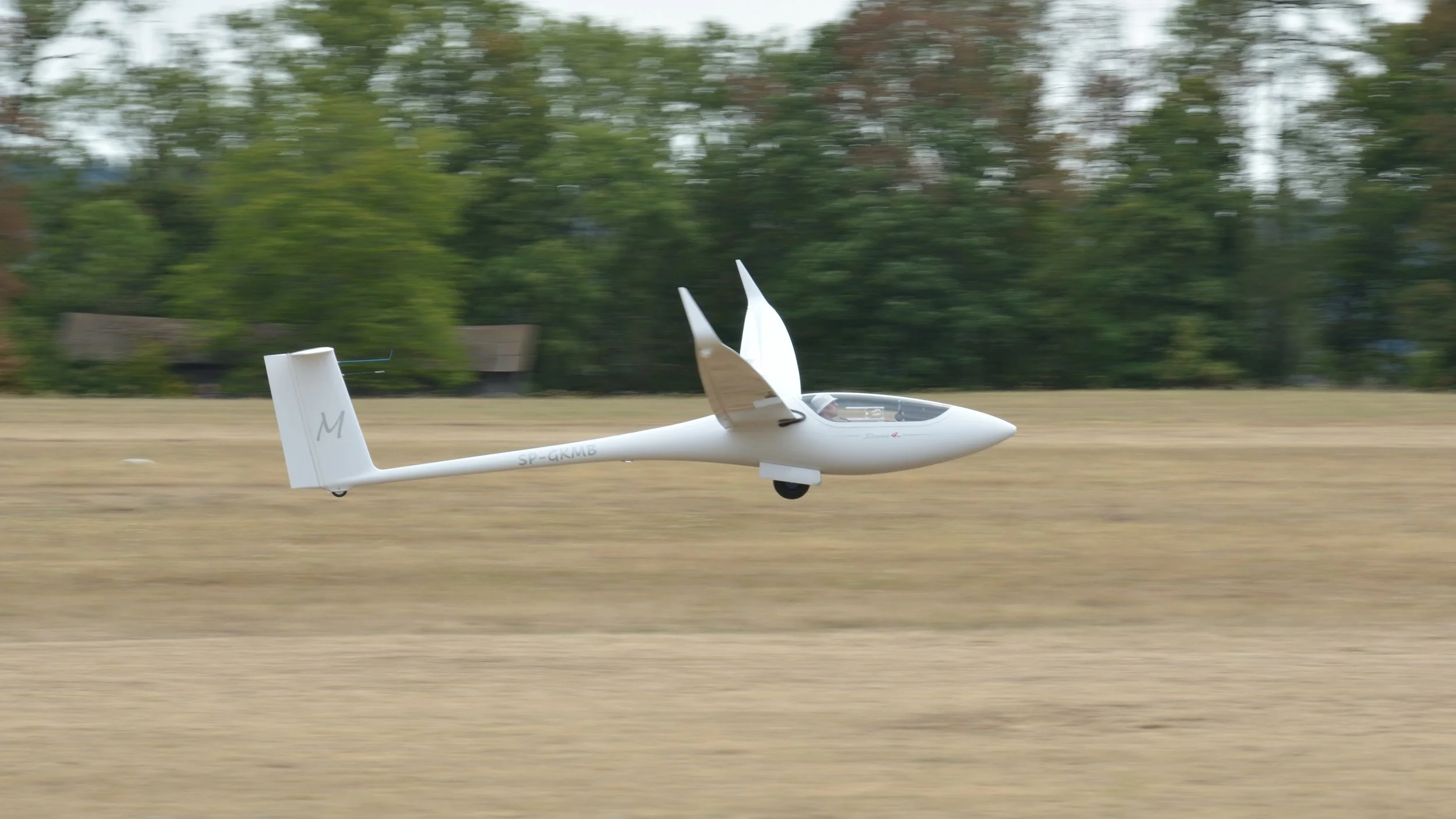 SGP Farrenberg_253.JPG