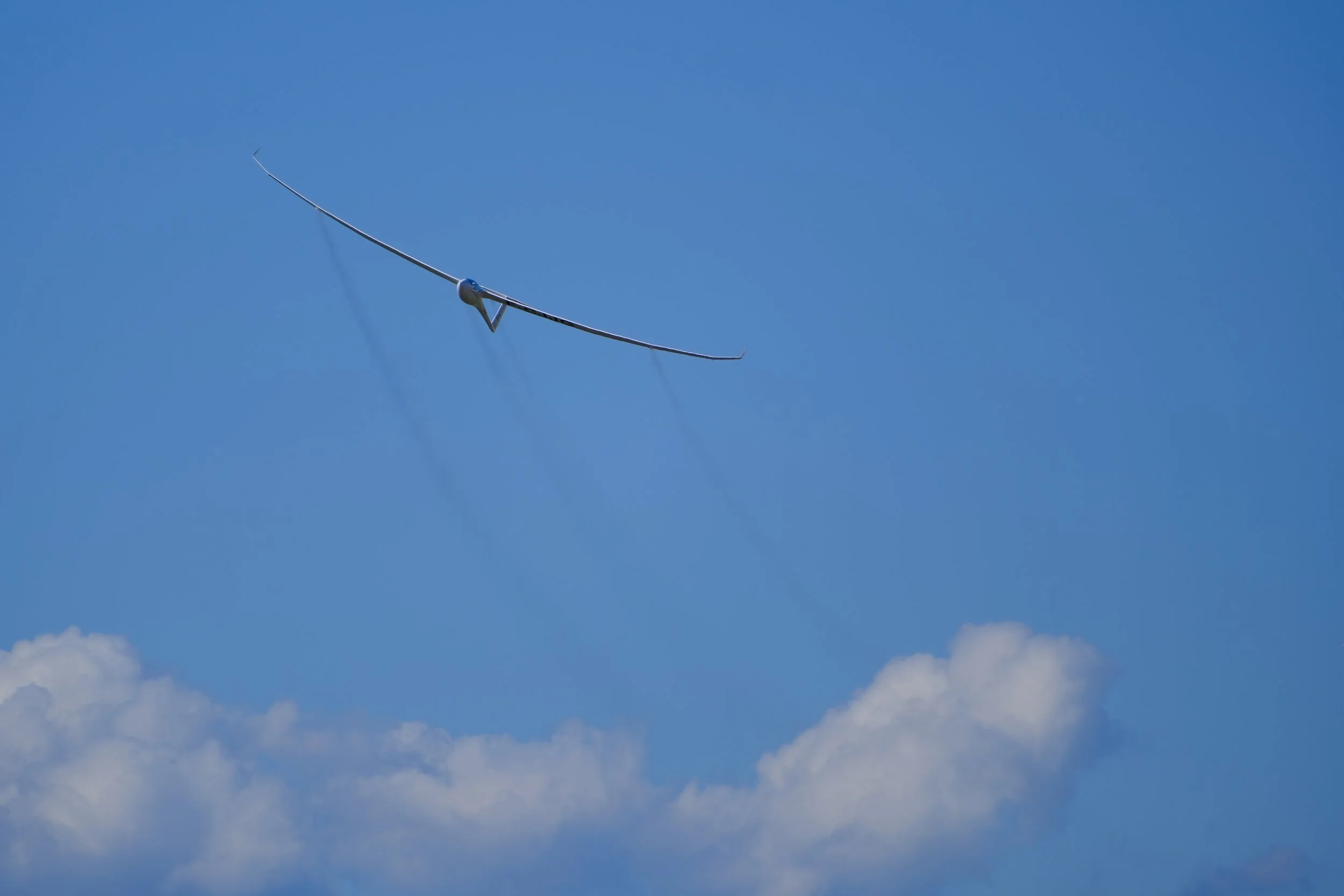 DSCF9030.JPG