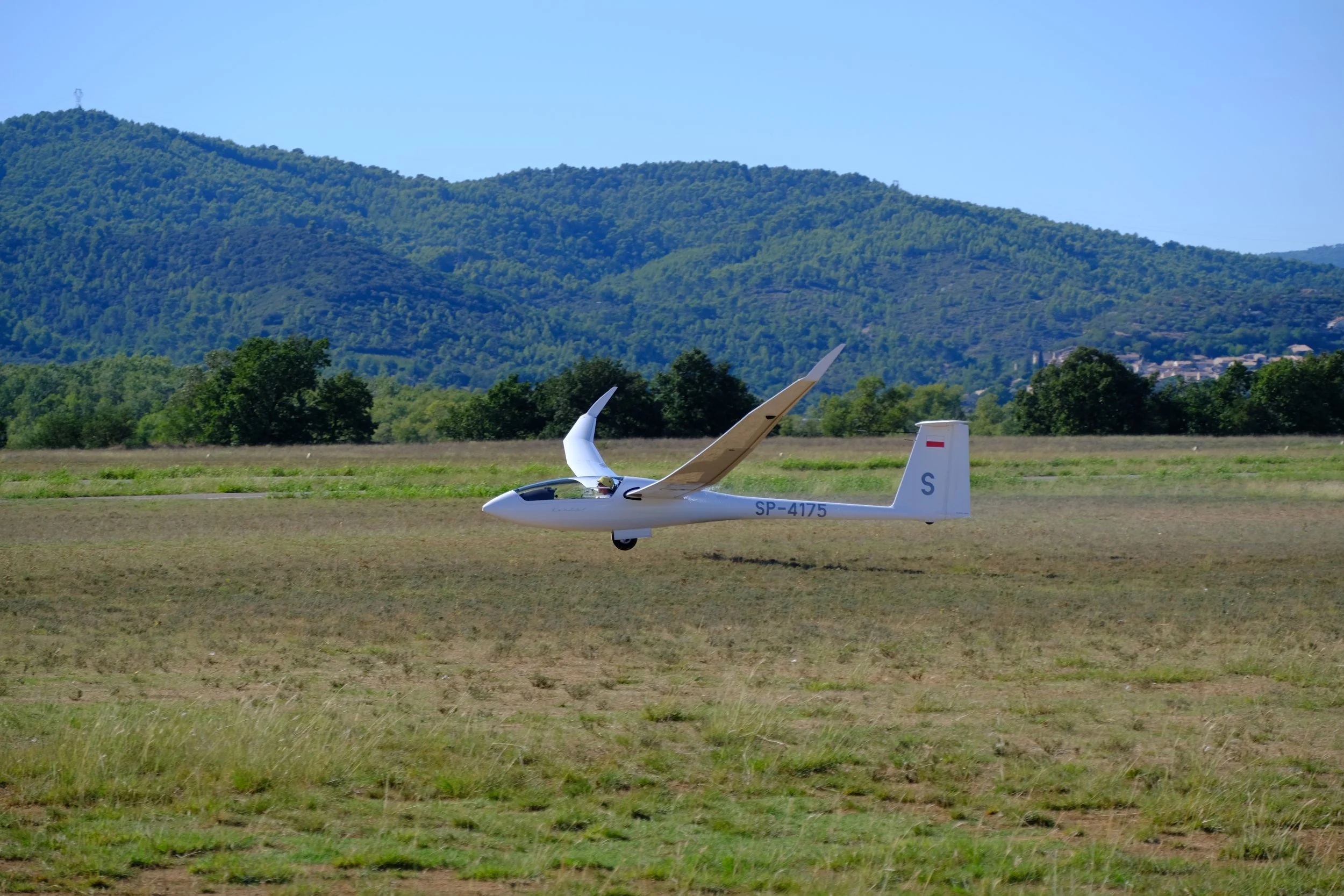 DSCF9115.JPG