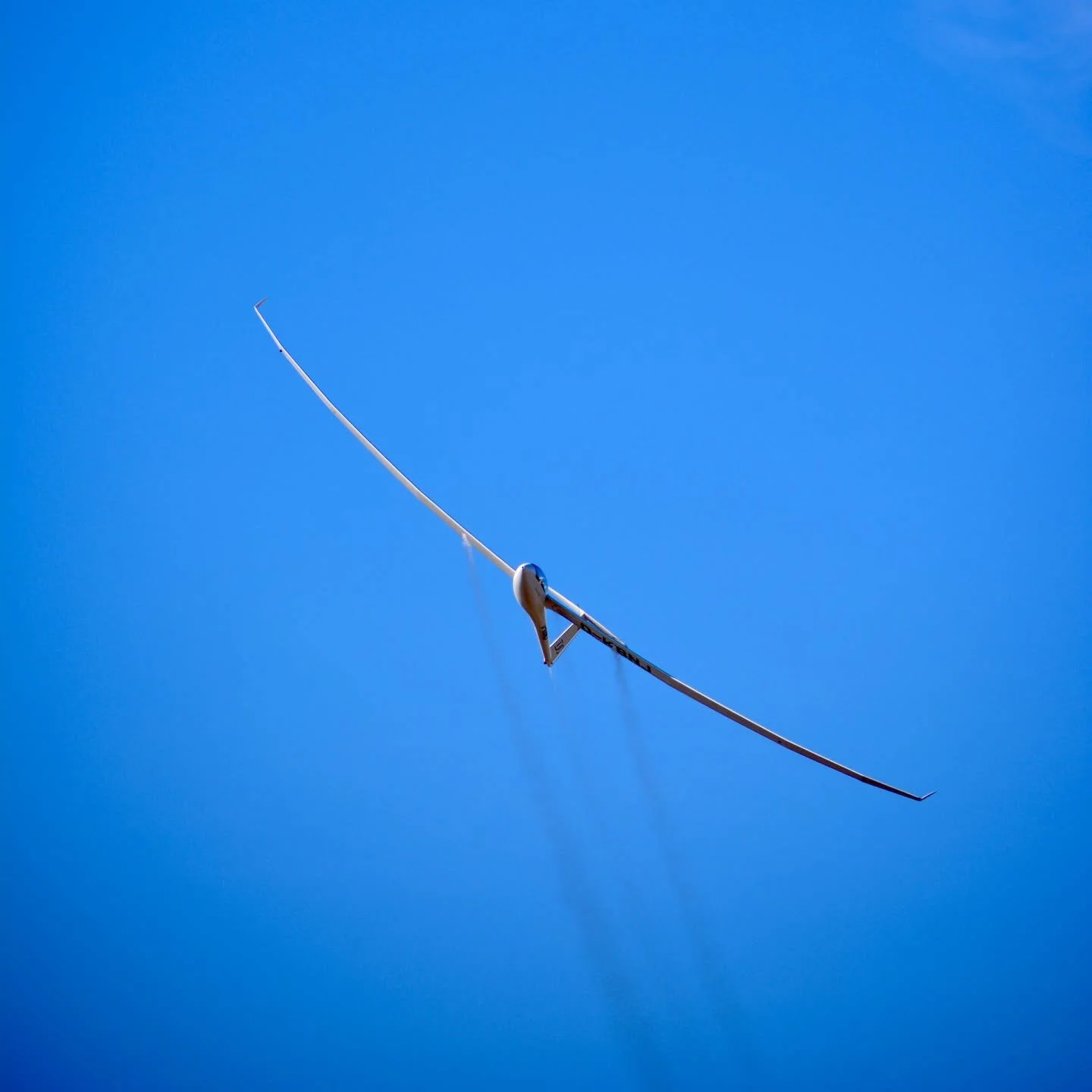 vinon-r5-4.jpg