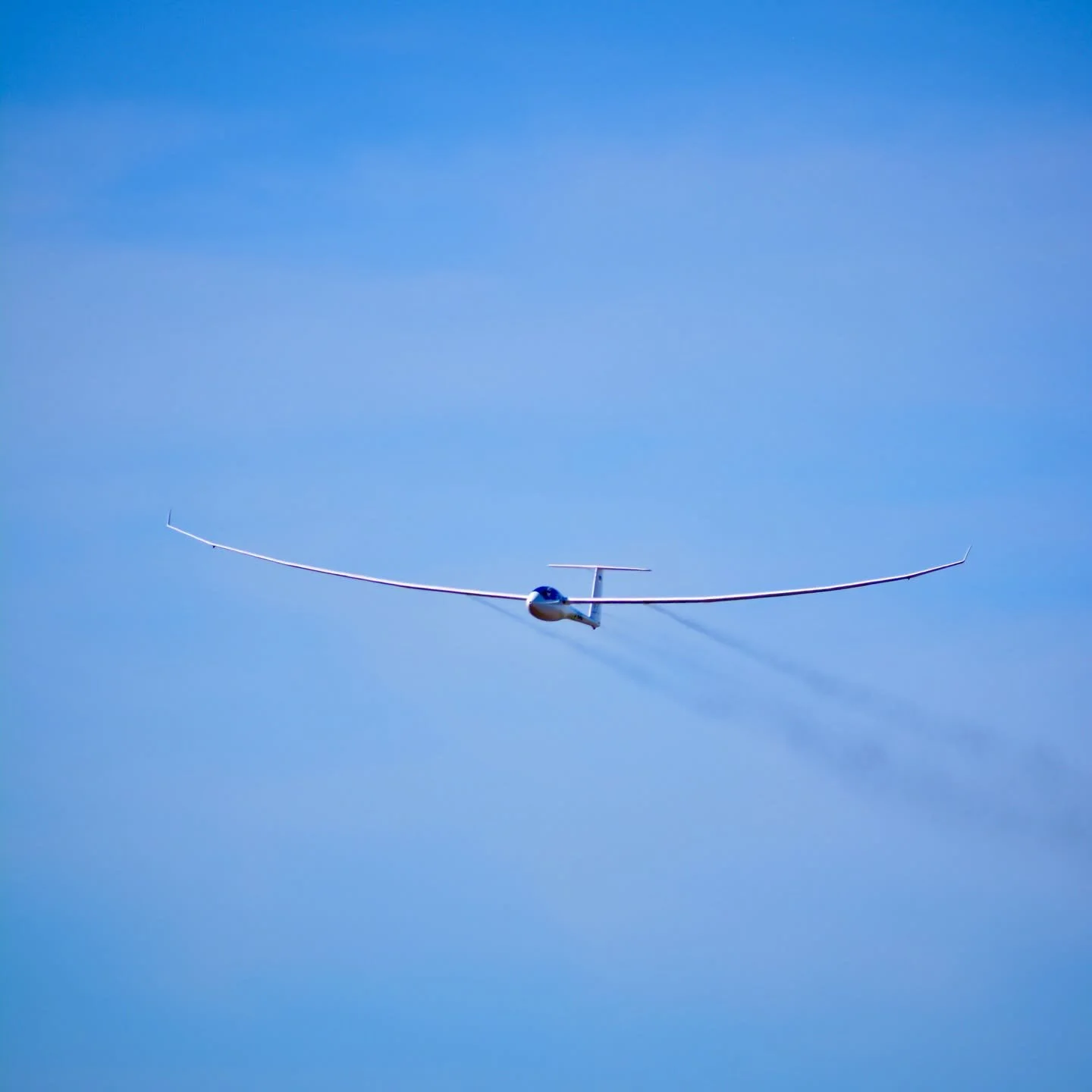 vinon-r5-5.jpg