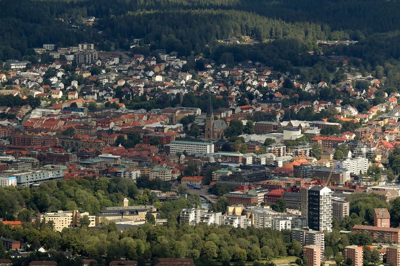 boras-12.jpg