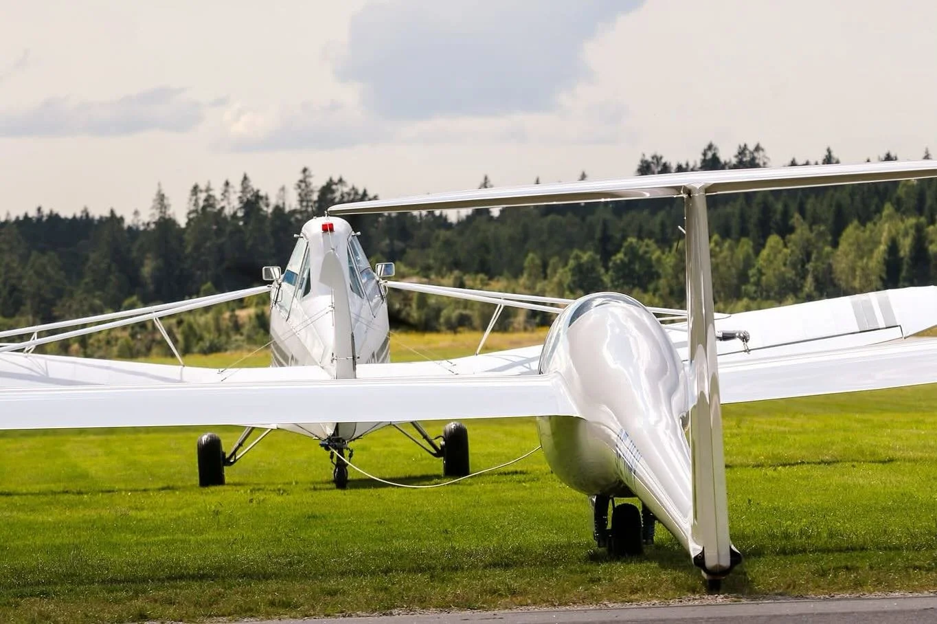 boras-14.jpg