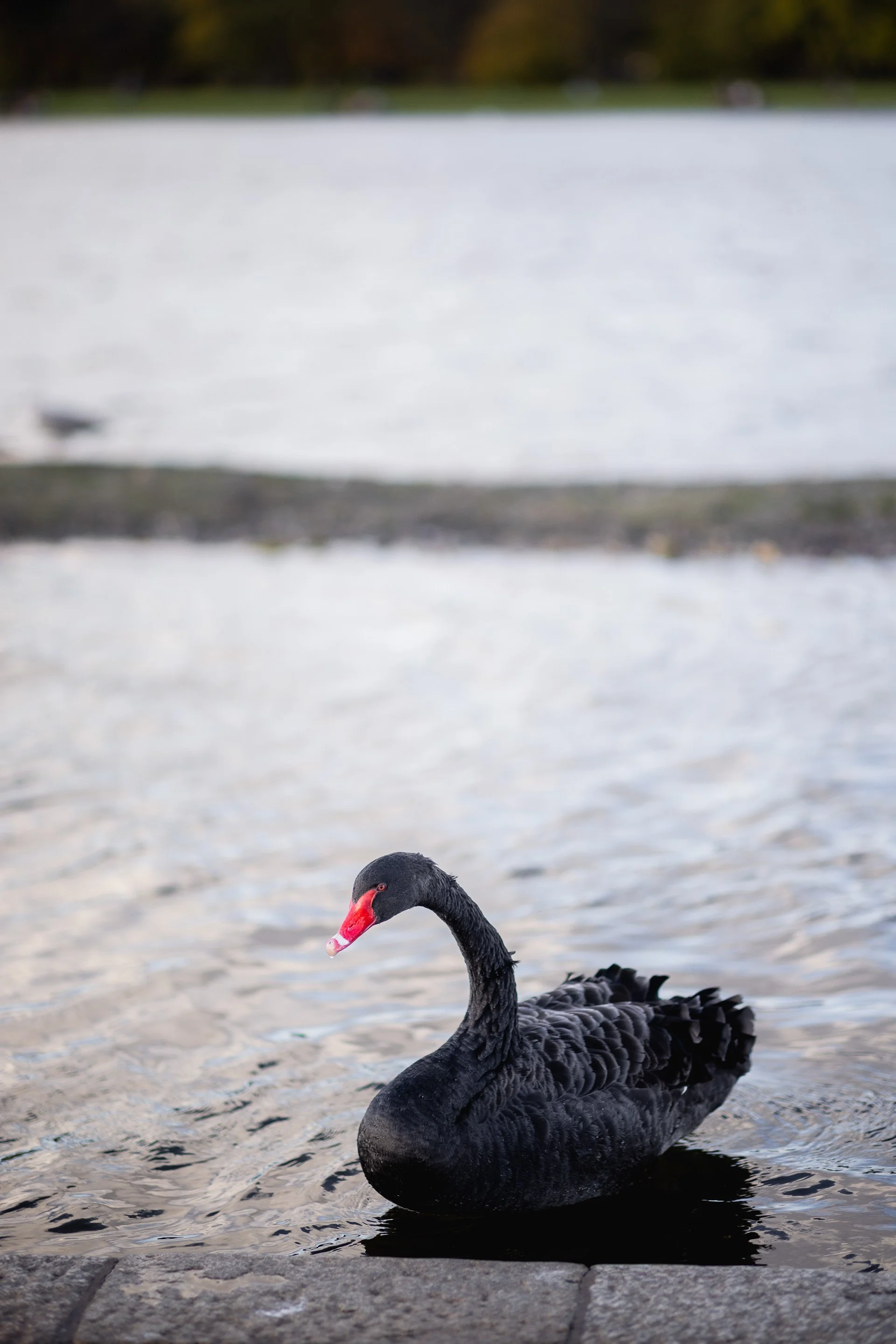 Kira & Joe Engagement Photoshoot High Resolution-71.jpg