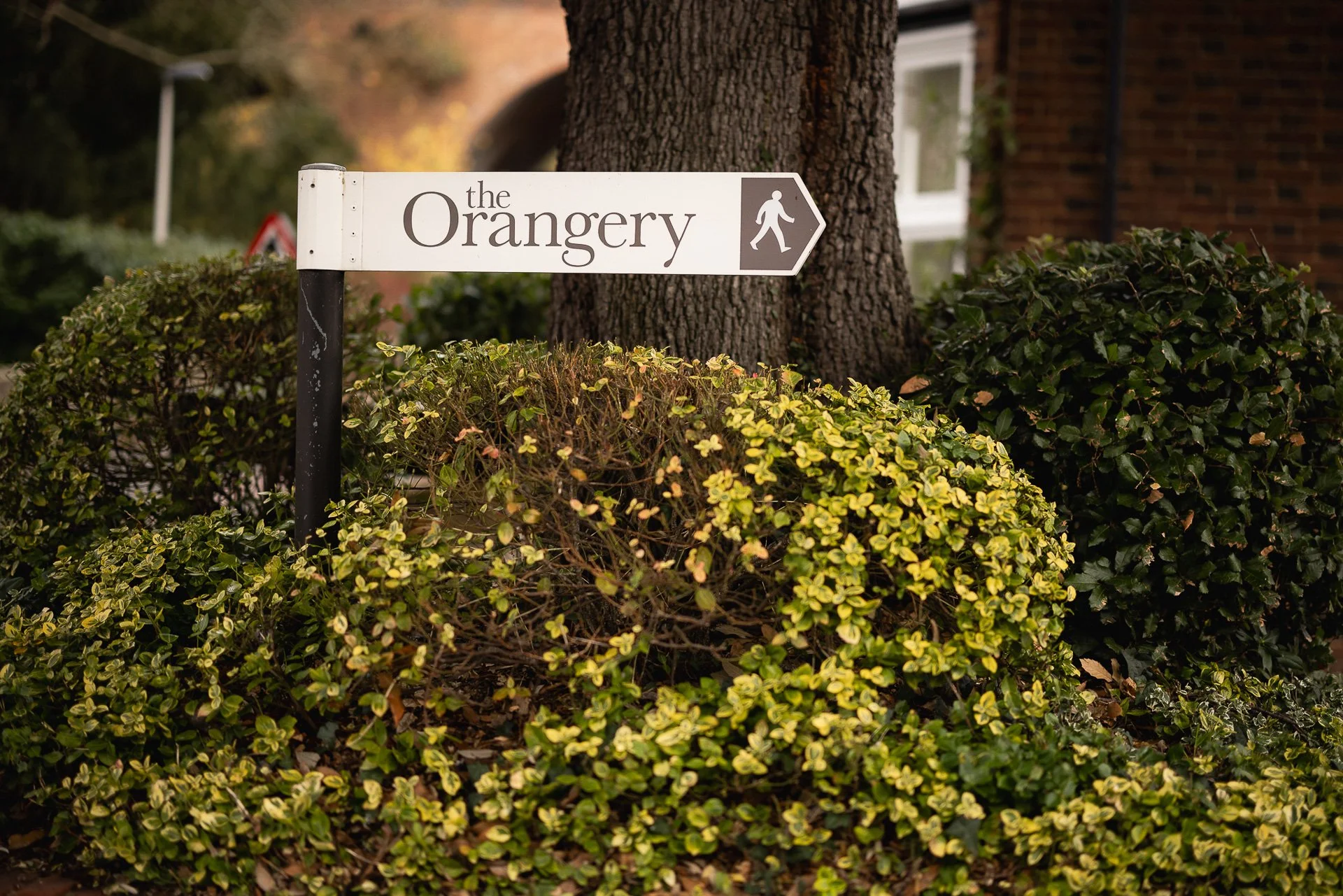 London Wedding Photographer_The Orangery Wedding of Alex and James-4.jpg