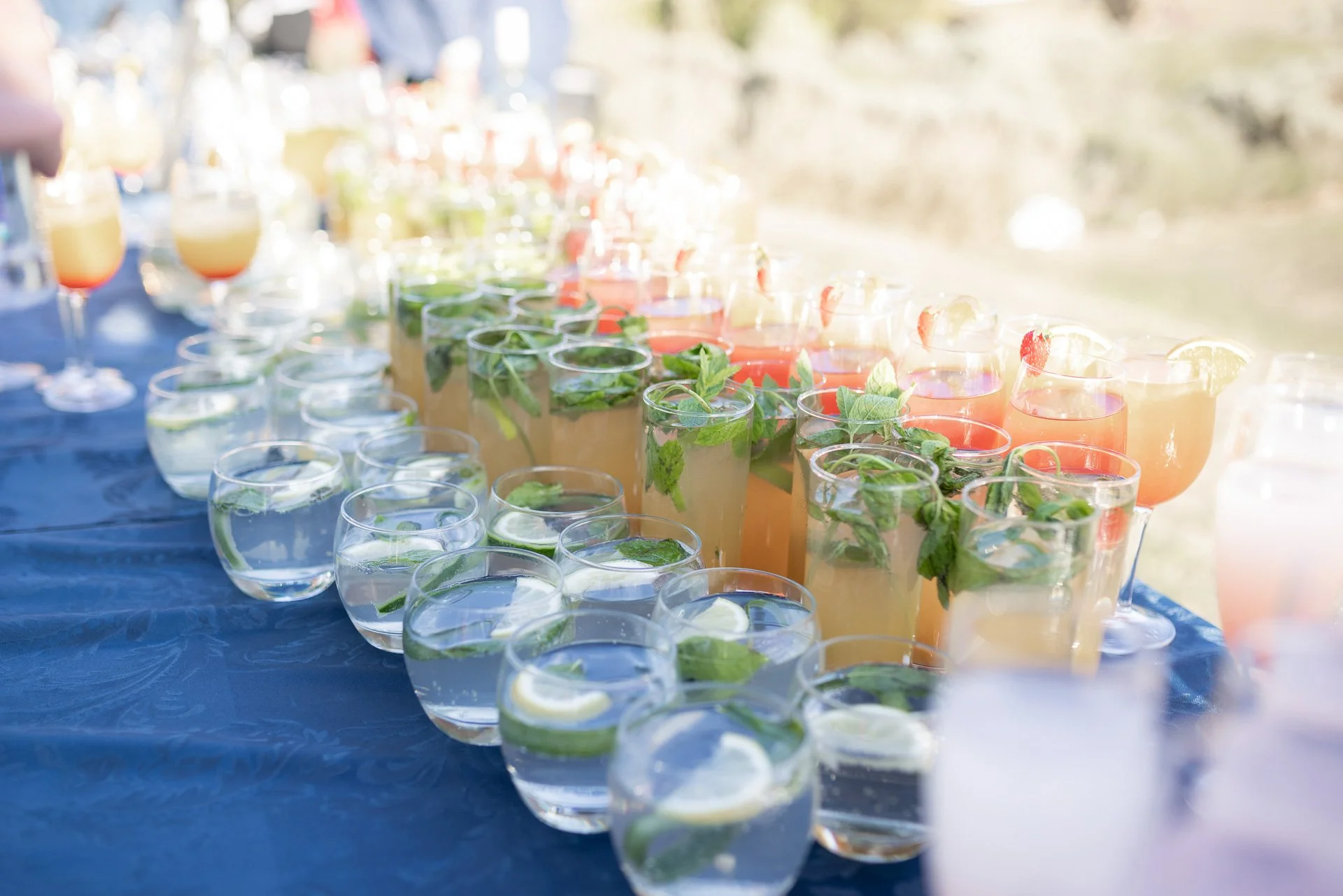 Jaya & Arun Indian Wedding-1083.jpg