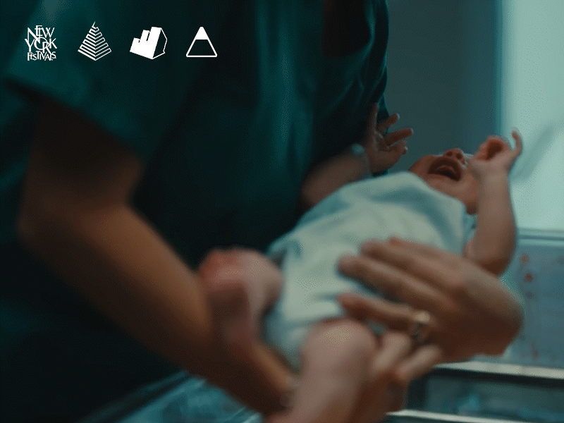 Adamo 2050 / Plasmon