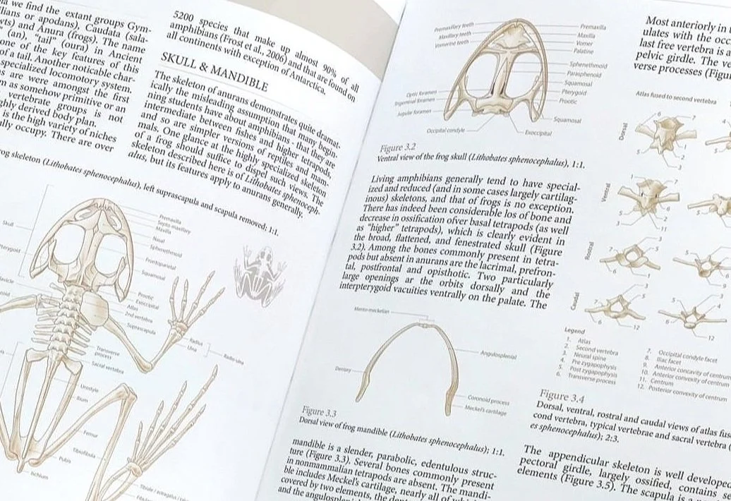 Anura+book.jpg