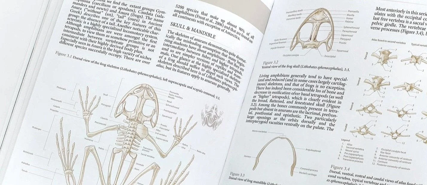 Anura+book.jpg