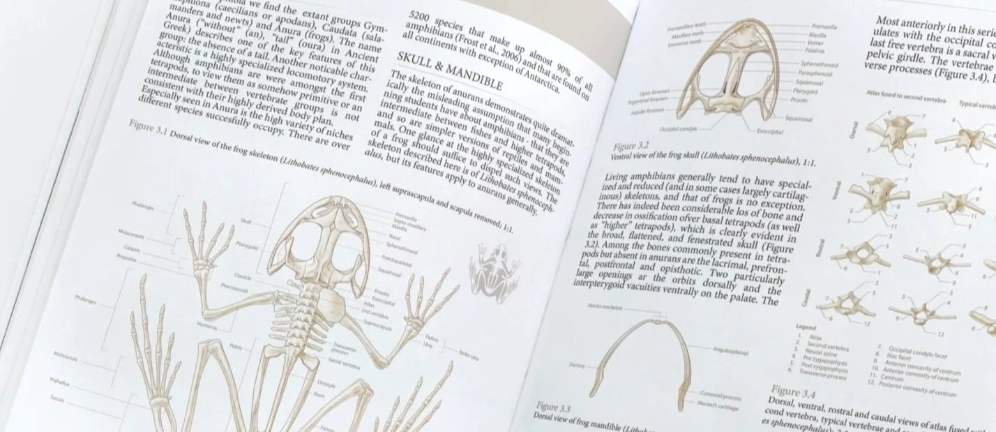 Anura+book.jpg