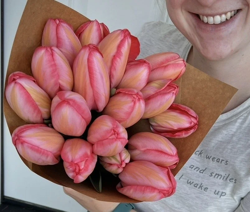 Tulip Apricot Impressions 10 bulbs