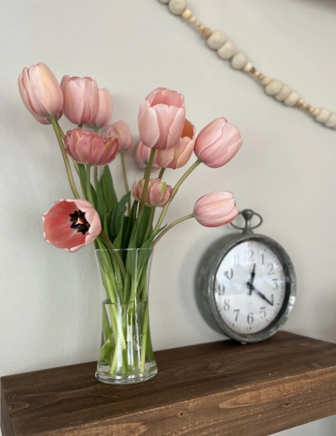 Tulip Salmon Impressions 10 bulbs