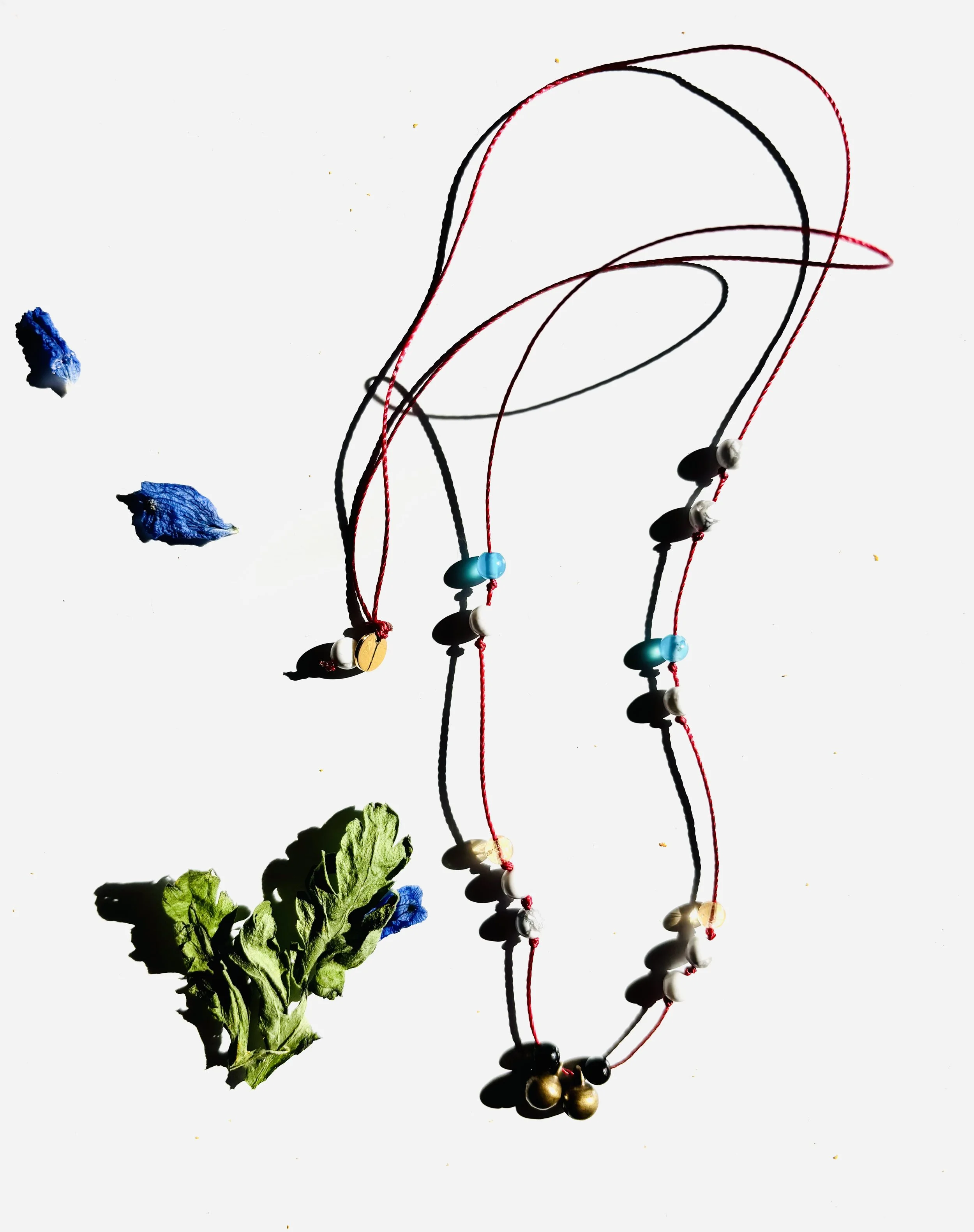 Moewe_1.jpg