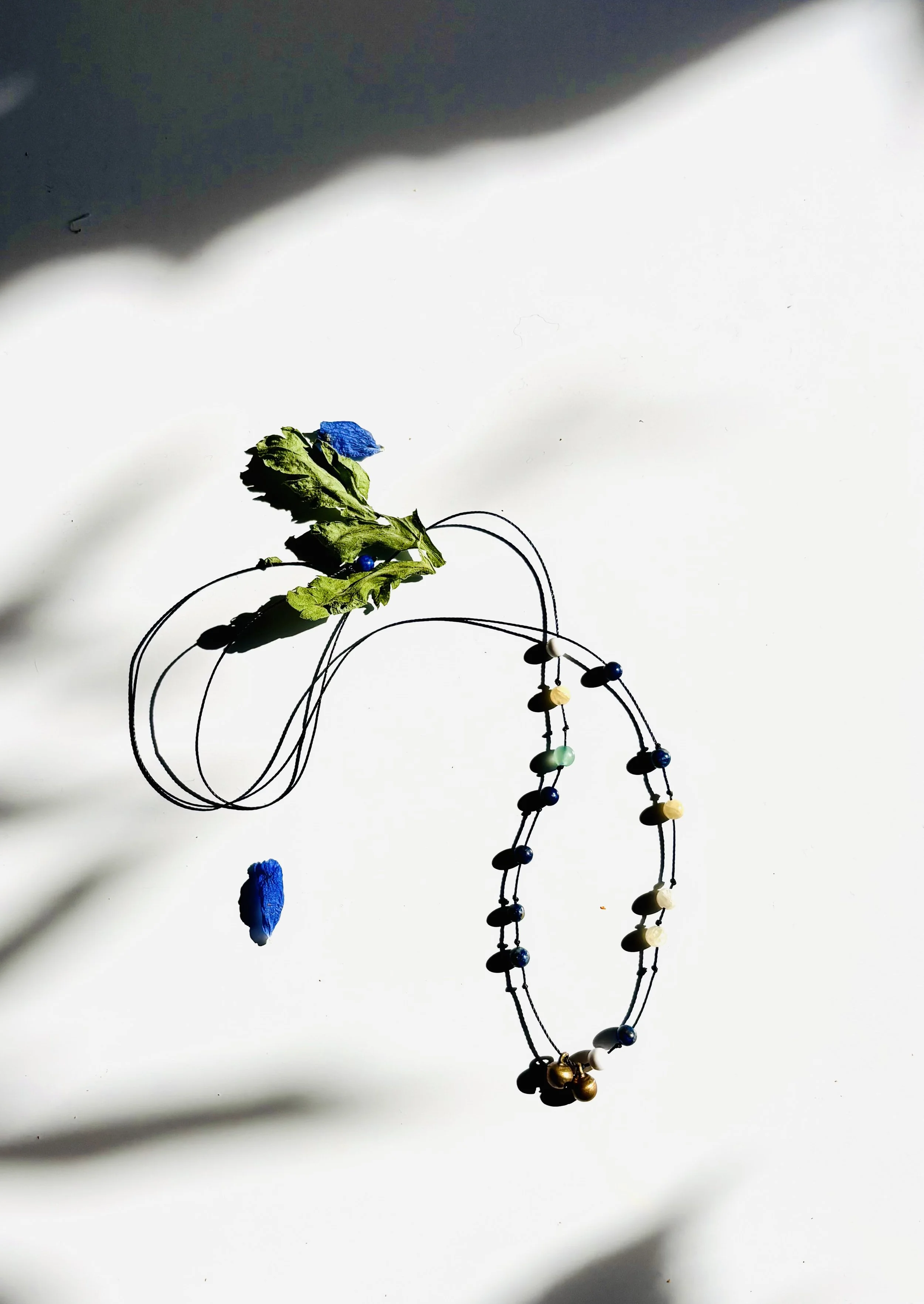 Blaumeise_5.jpg