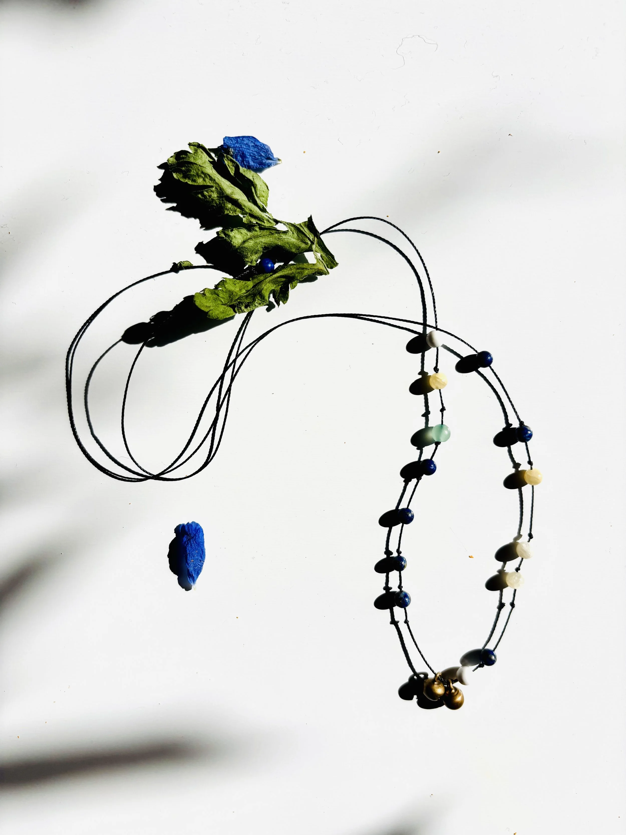 Blaumeise_3.jpg