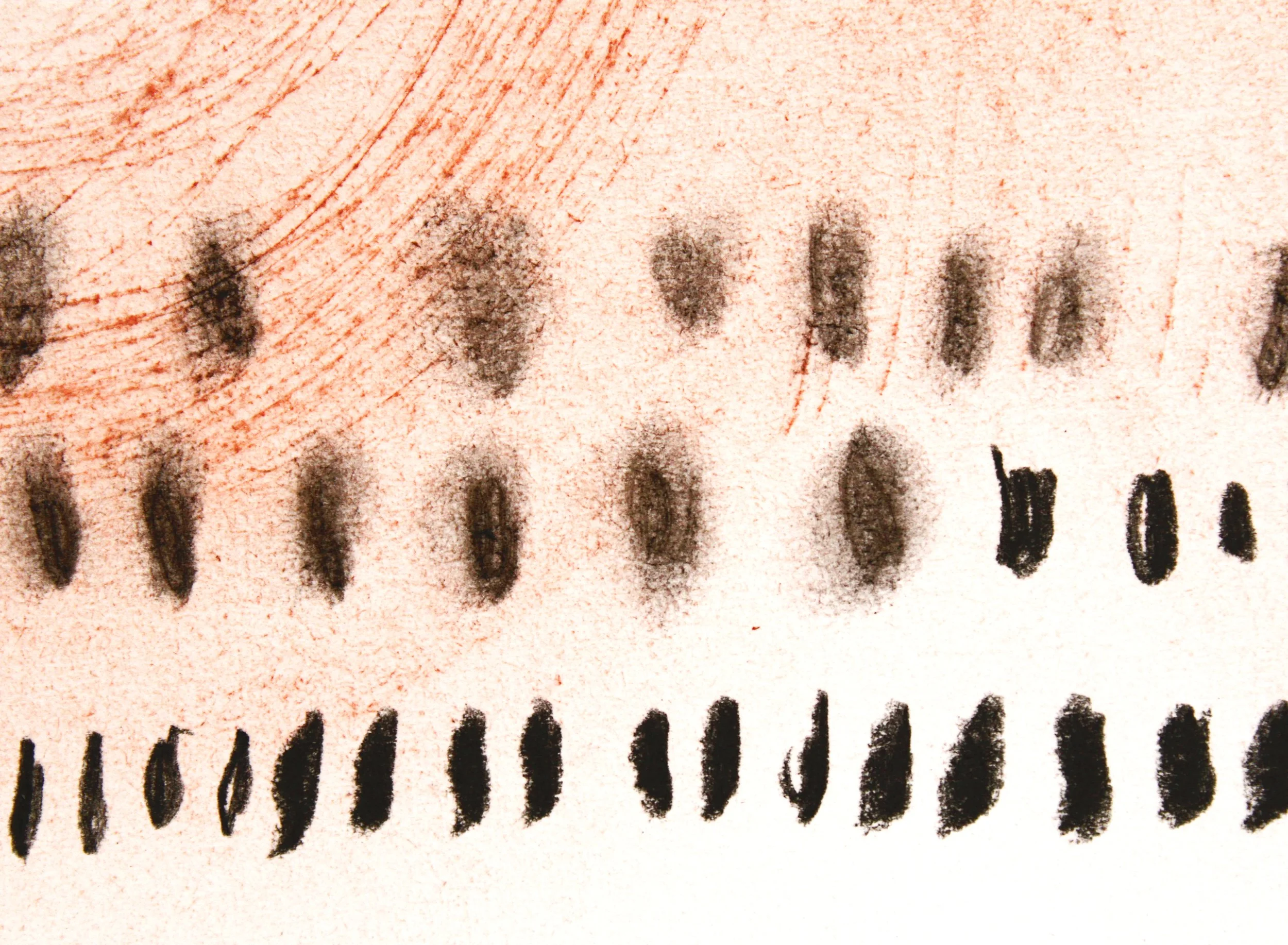 20230922_100928 fadingsunII (2).JPG