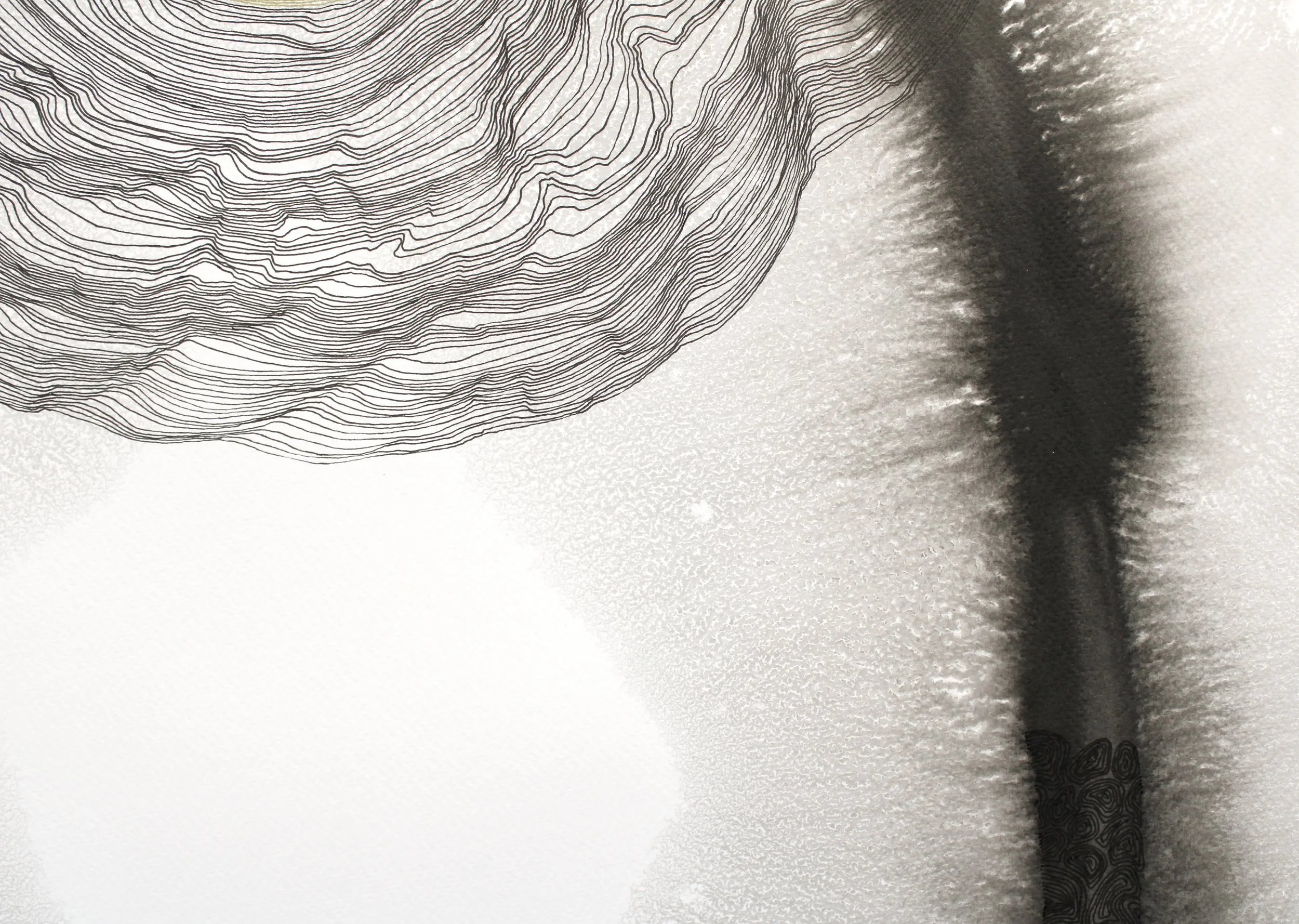 20230413113242_IMG_0963 copy.jpg