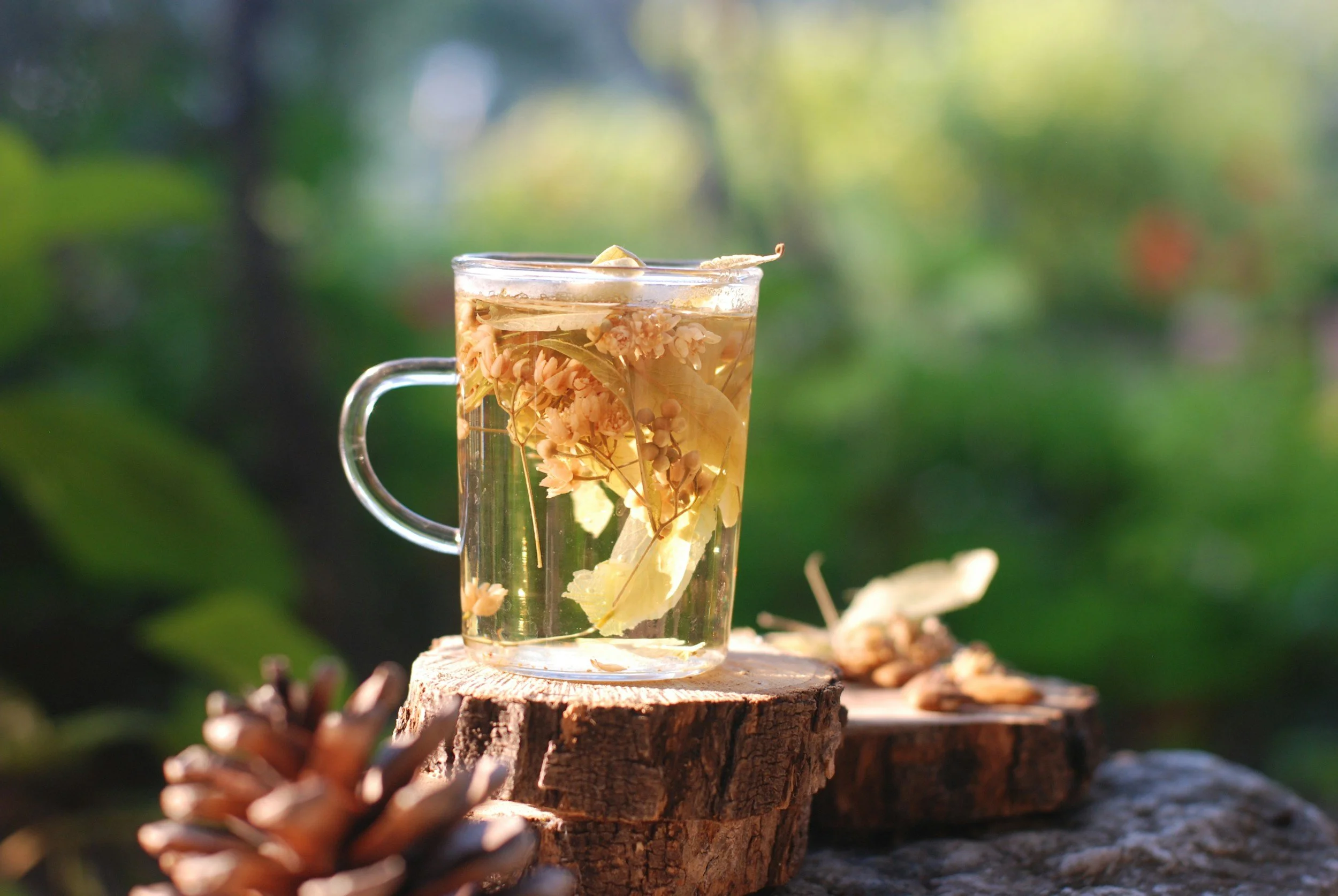 Open Table: Hands-on Herbal Teas from 10 Trees.
