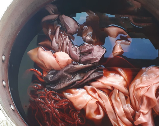 Natural Dyes with Dee Sayce. 