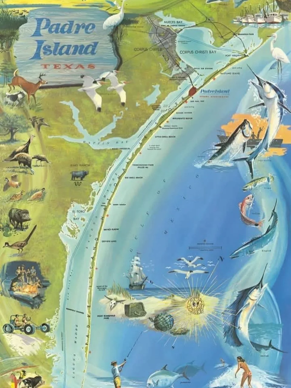 This is who I am running to serve. This is who I am running to protect. This is who we are. From Corpus Christi to Brownsville, this the Laguna Madre District TX-34.